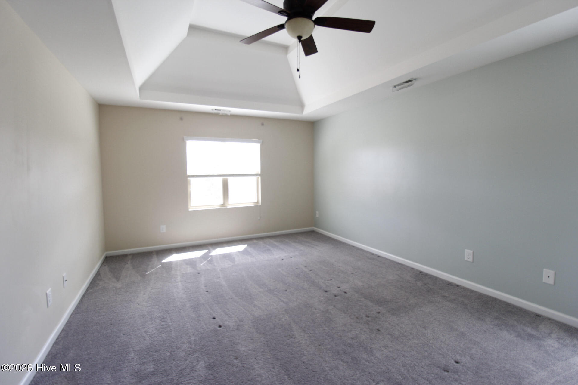 100558904 | Photo 15