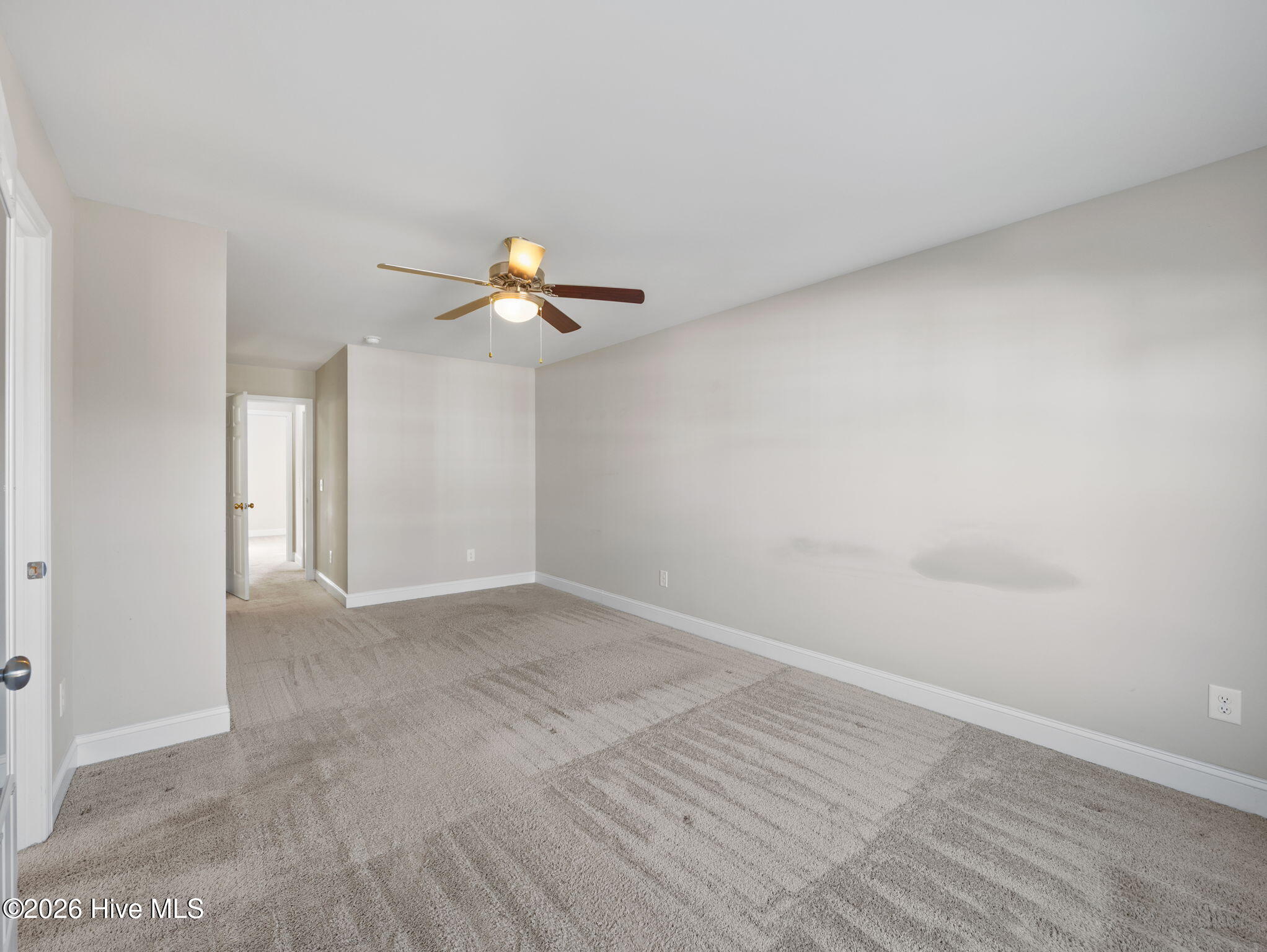 100565324 | Photo 27