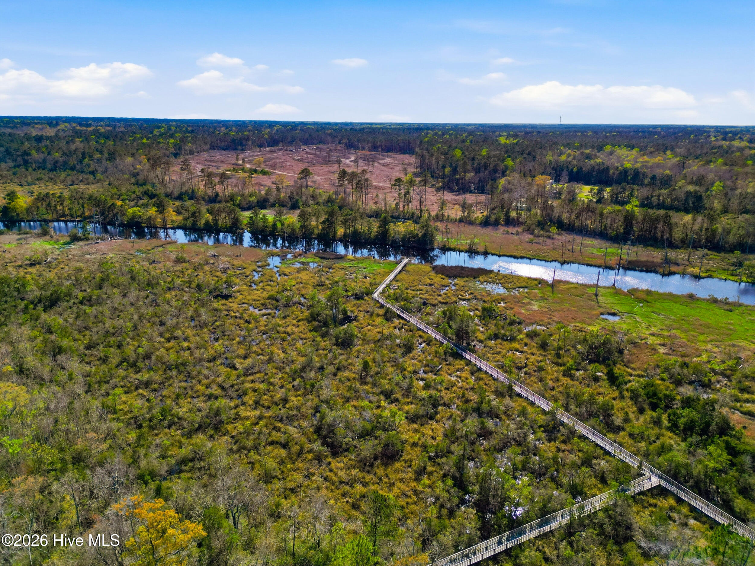 100563980 | Photo 82