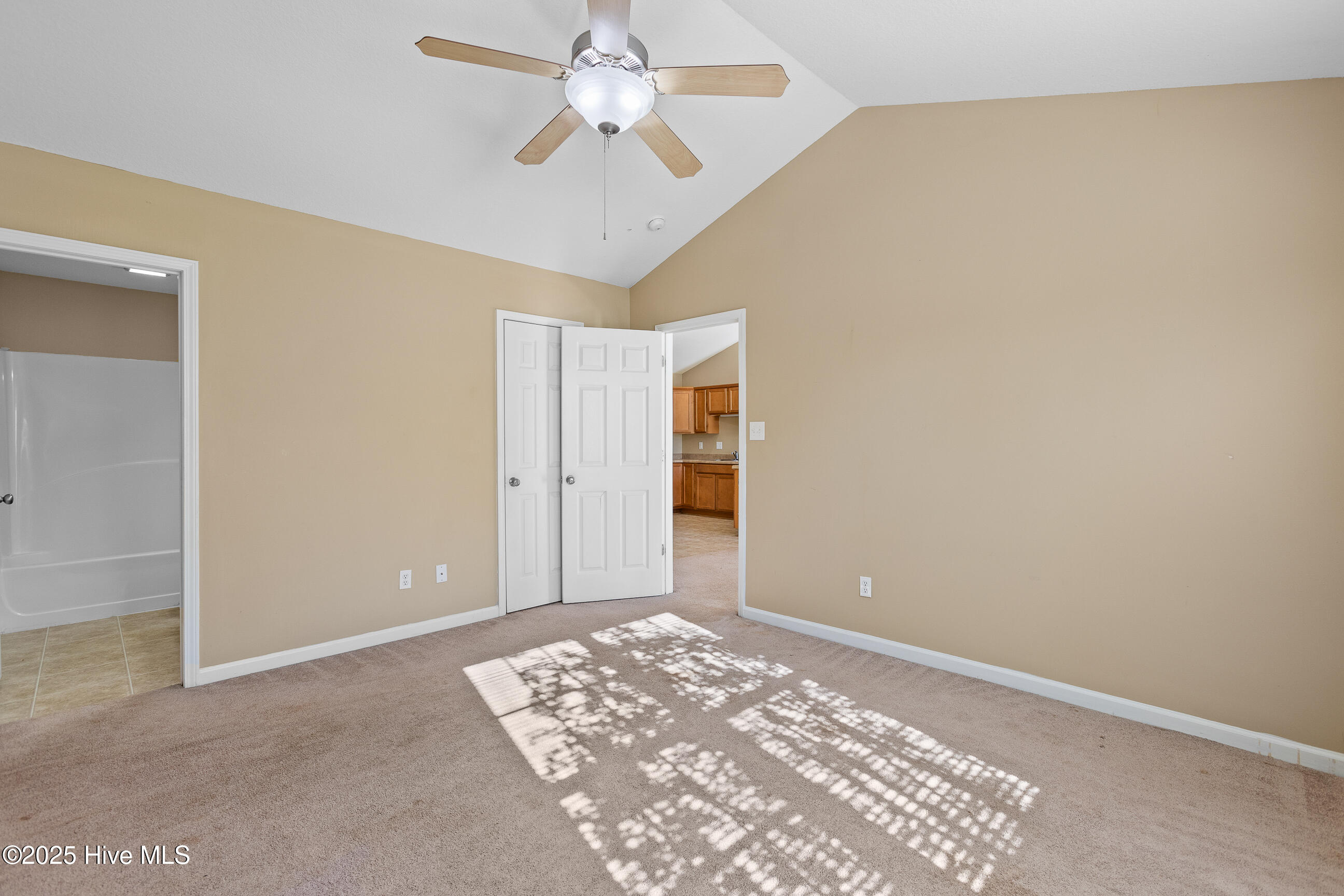 100541118 | Photo 13