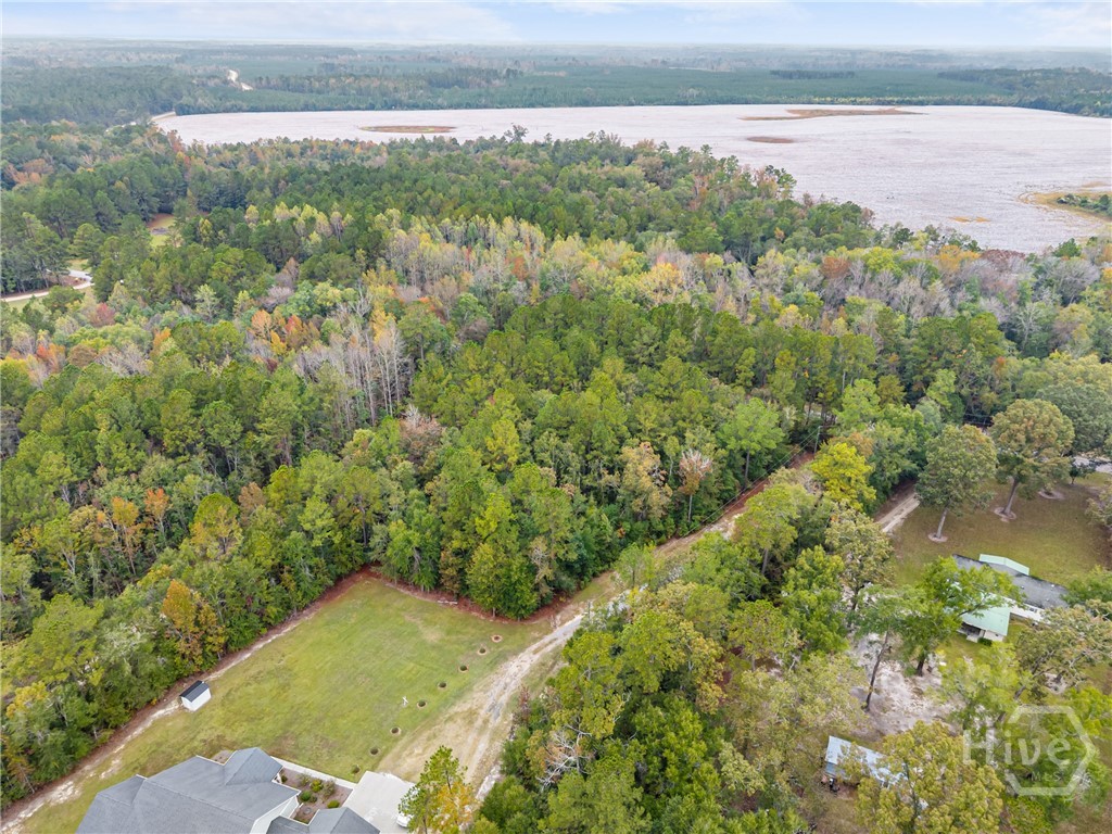 Homes for sale in Springfield, GA | 0 Clyo Shawnee Rd, Springfield, GA 31329 | MLS# SA342552