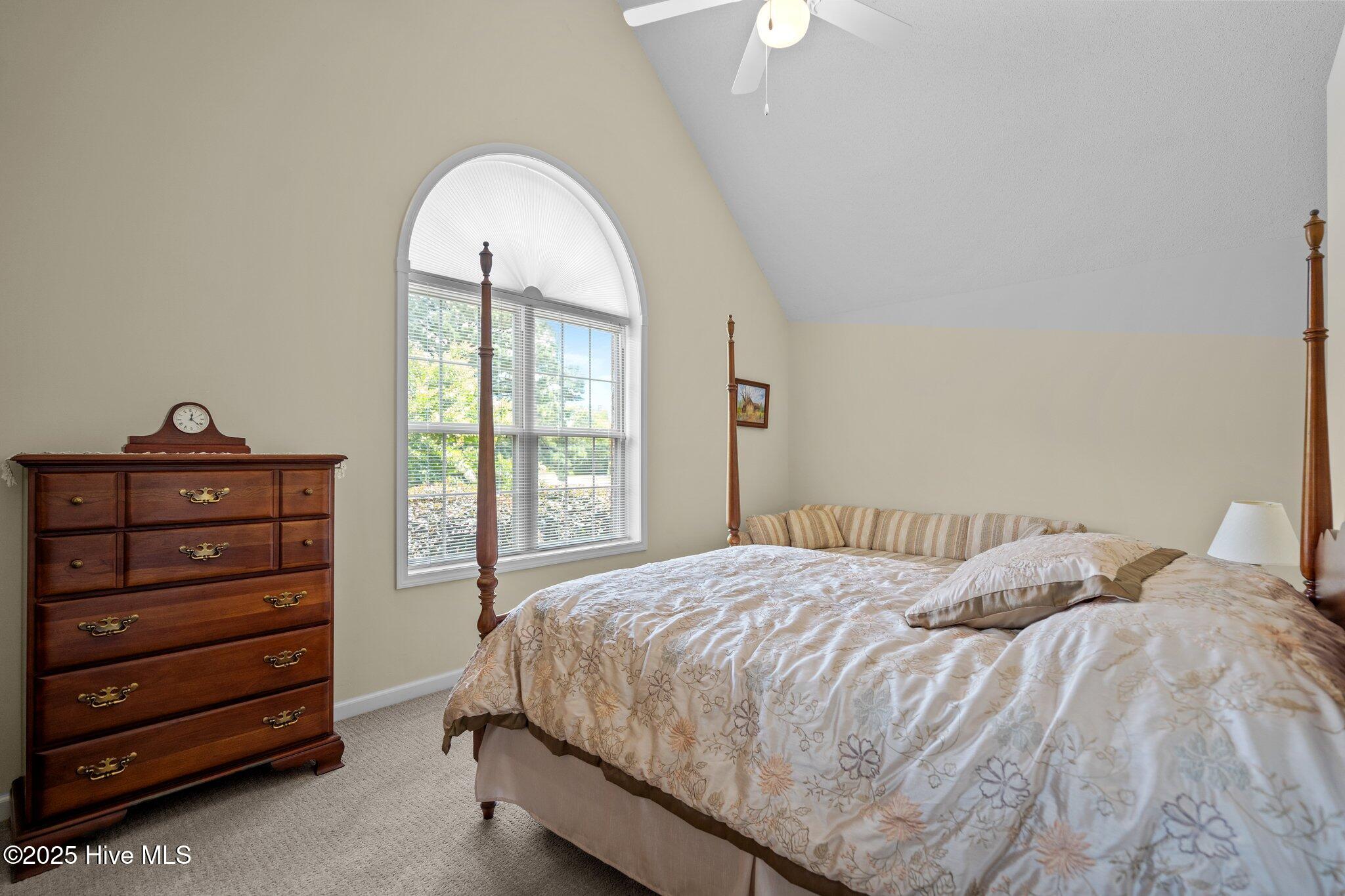 100515832 | Photo 42