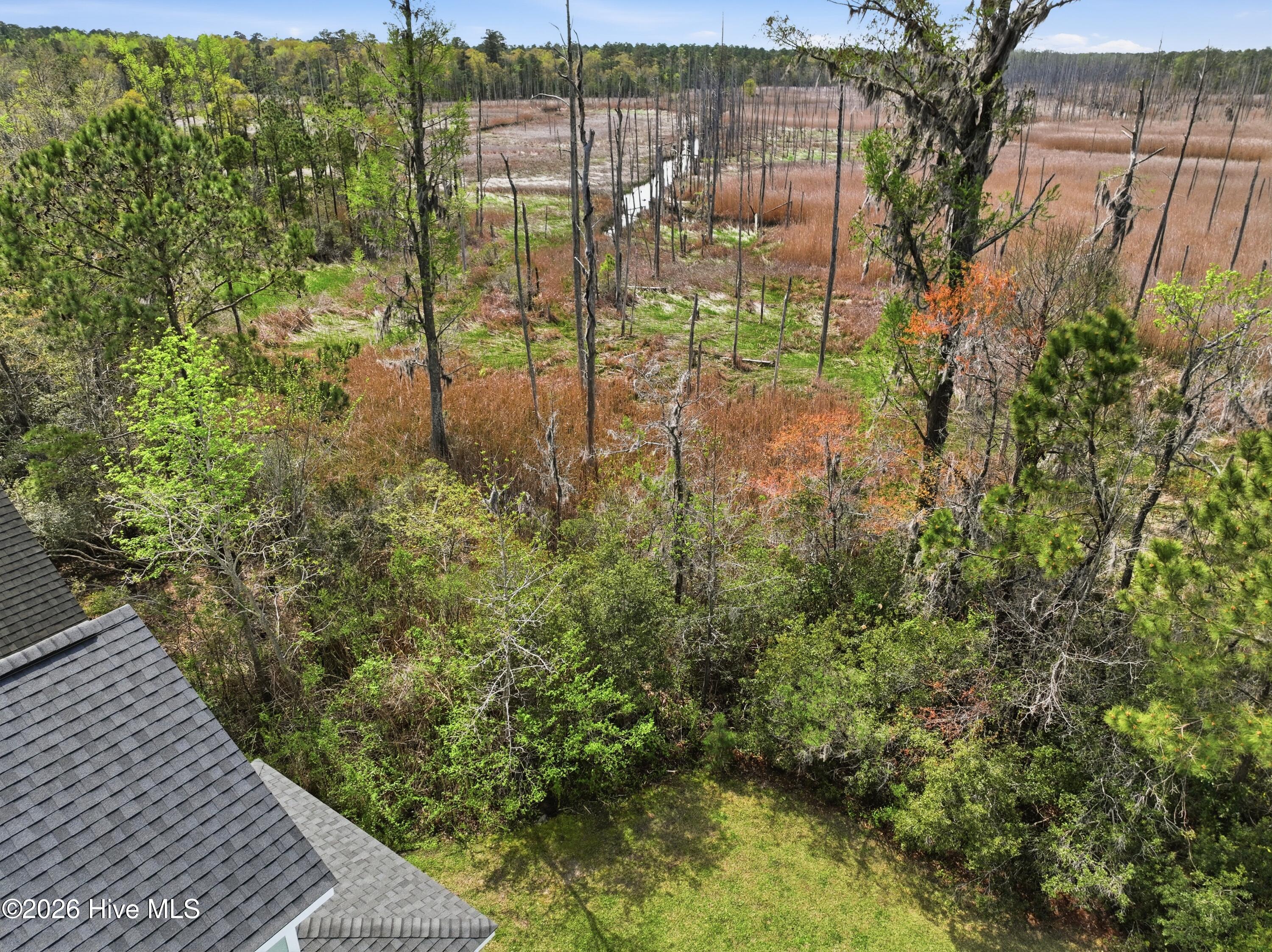 100563729 | Photo 62