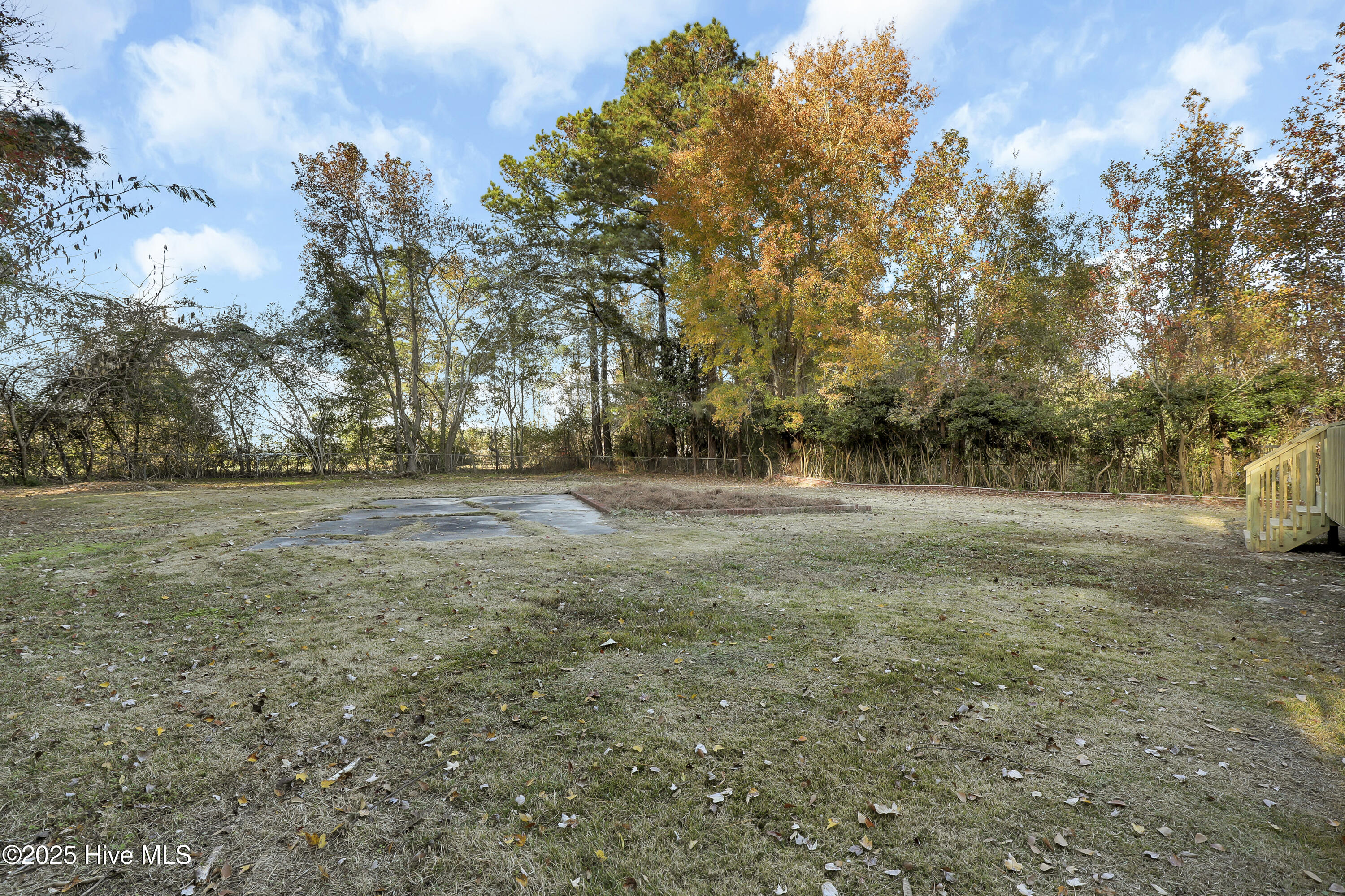 100542523 | Photo 25