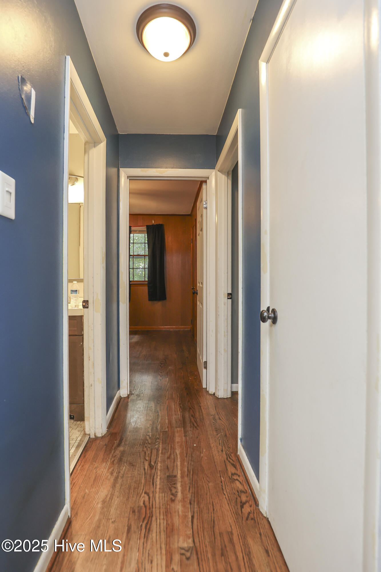 100524871 | Photo 31