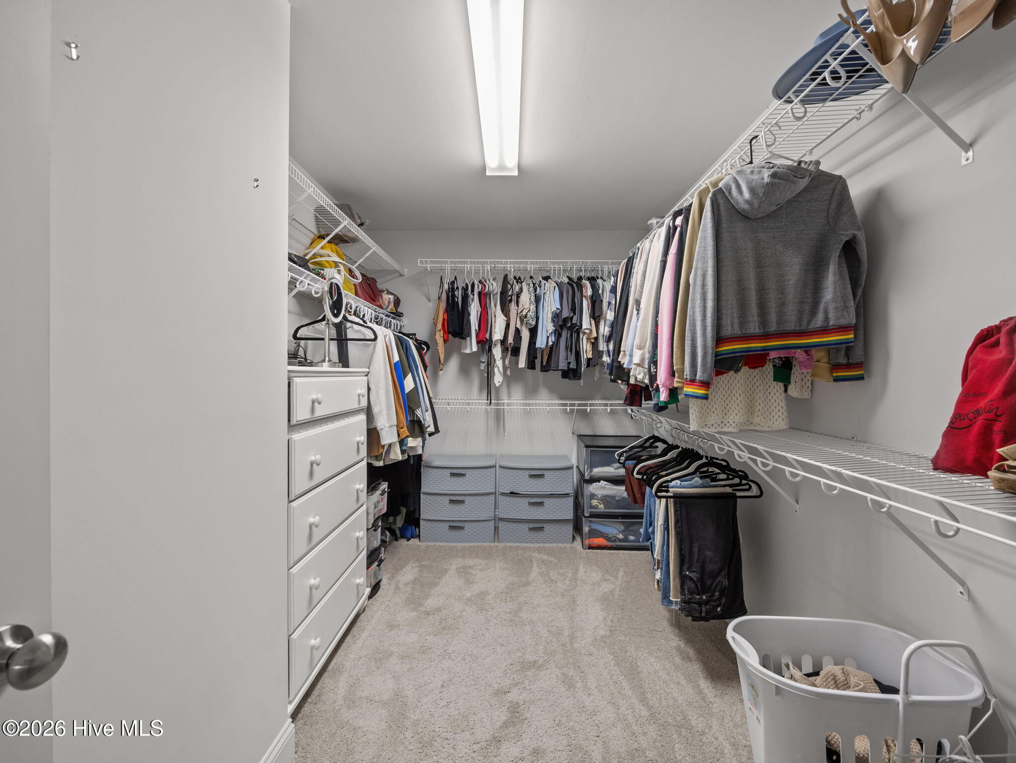 100563779 | Photo 24