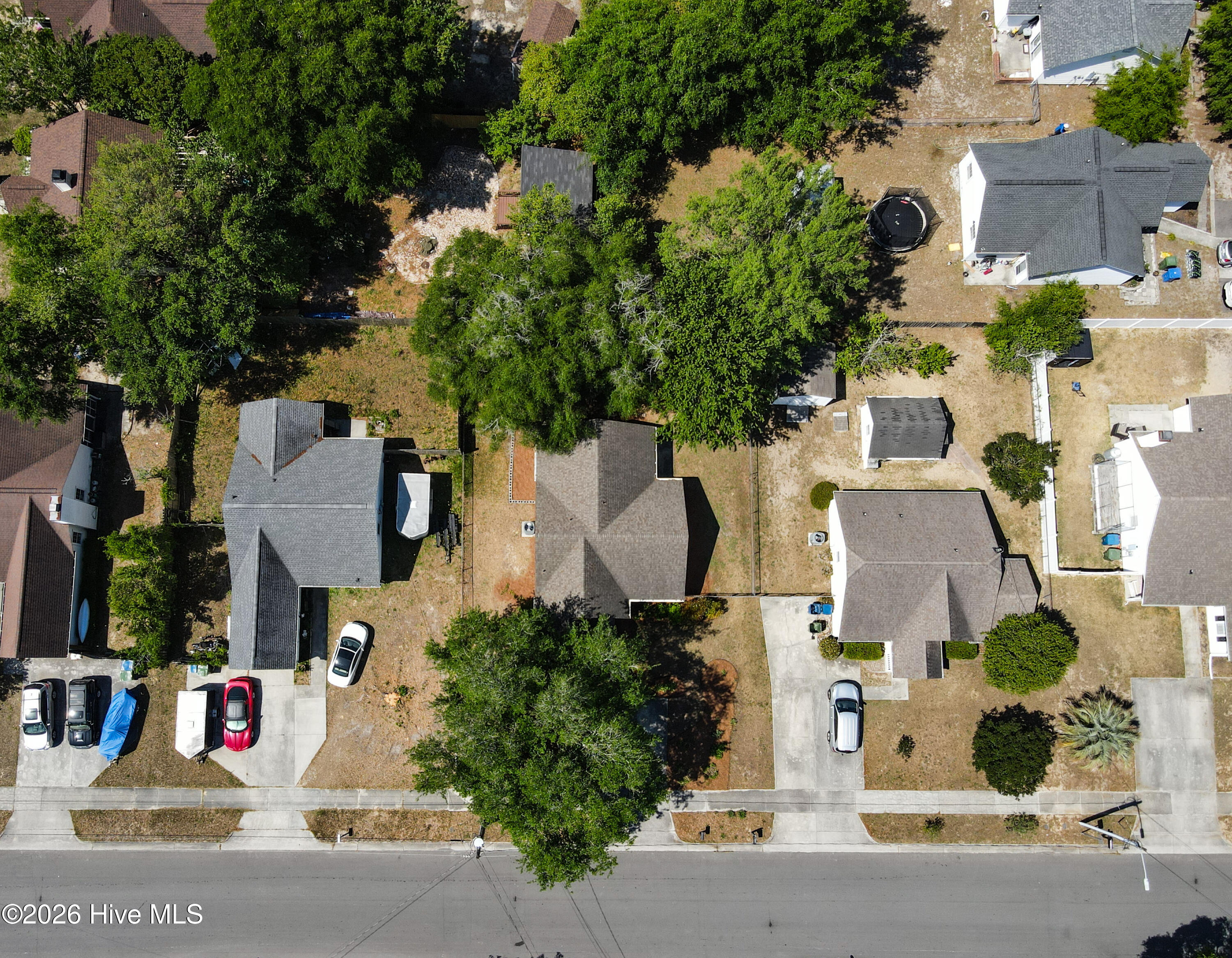 100568255 | Photo 80