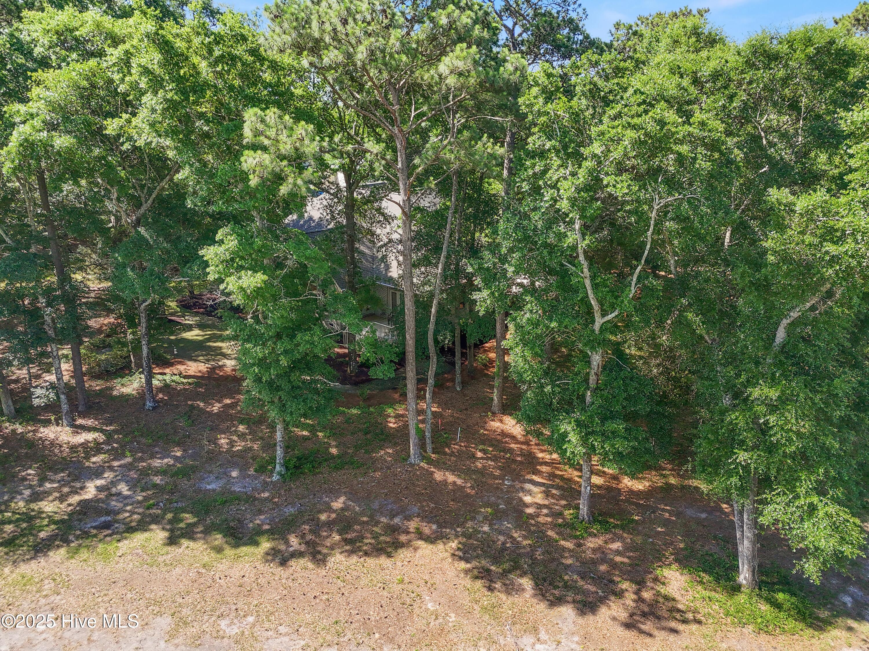 100509392 | Photo 55