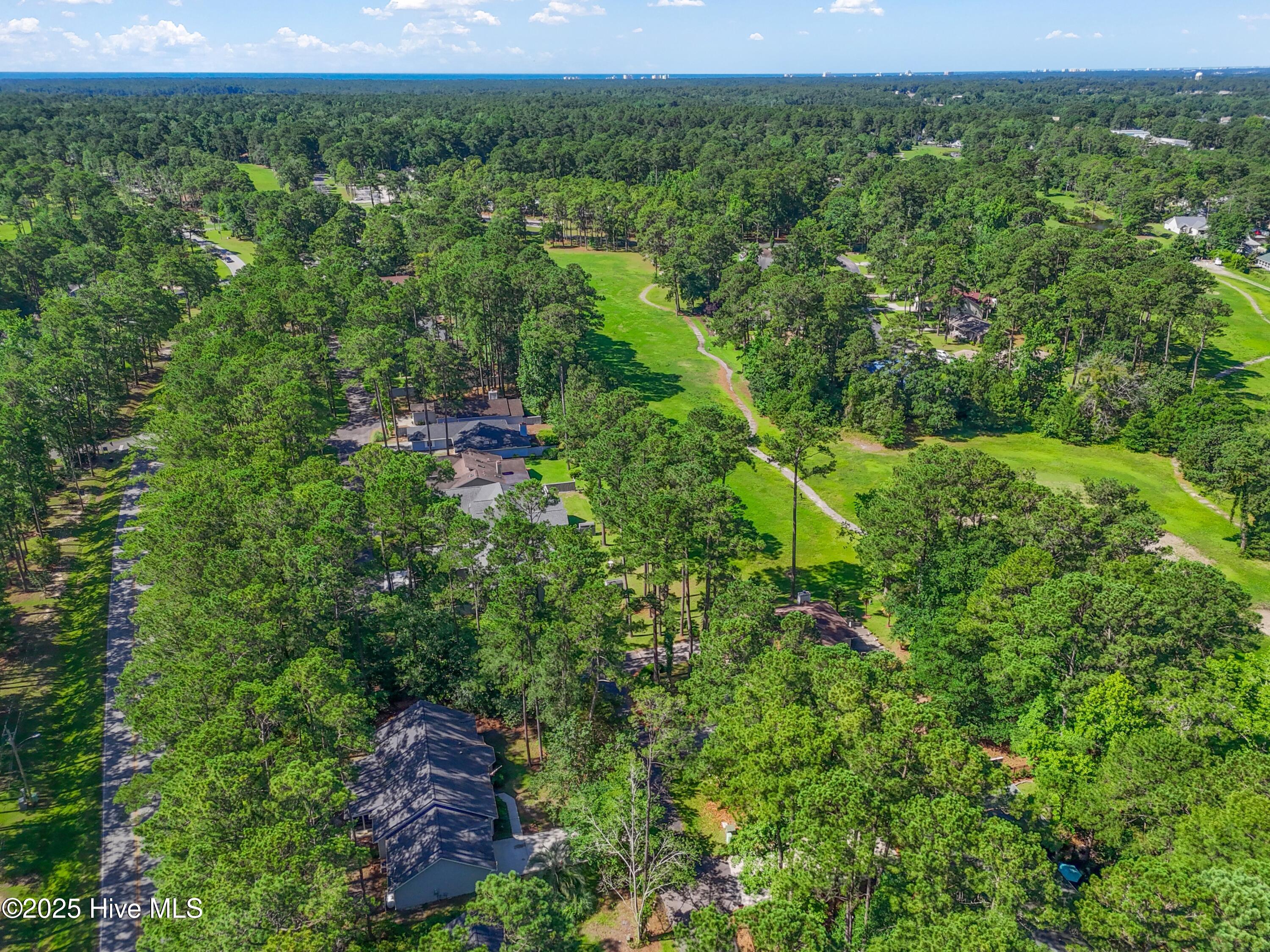 100515628 | Photo 43