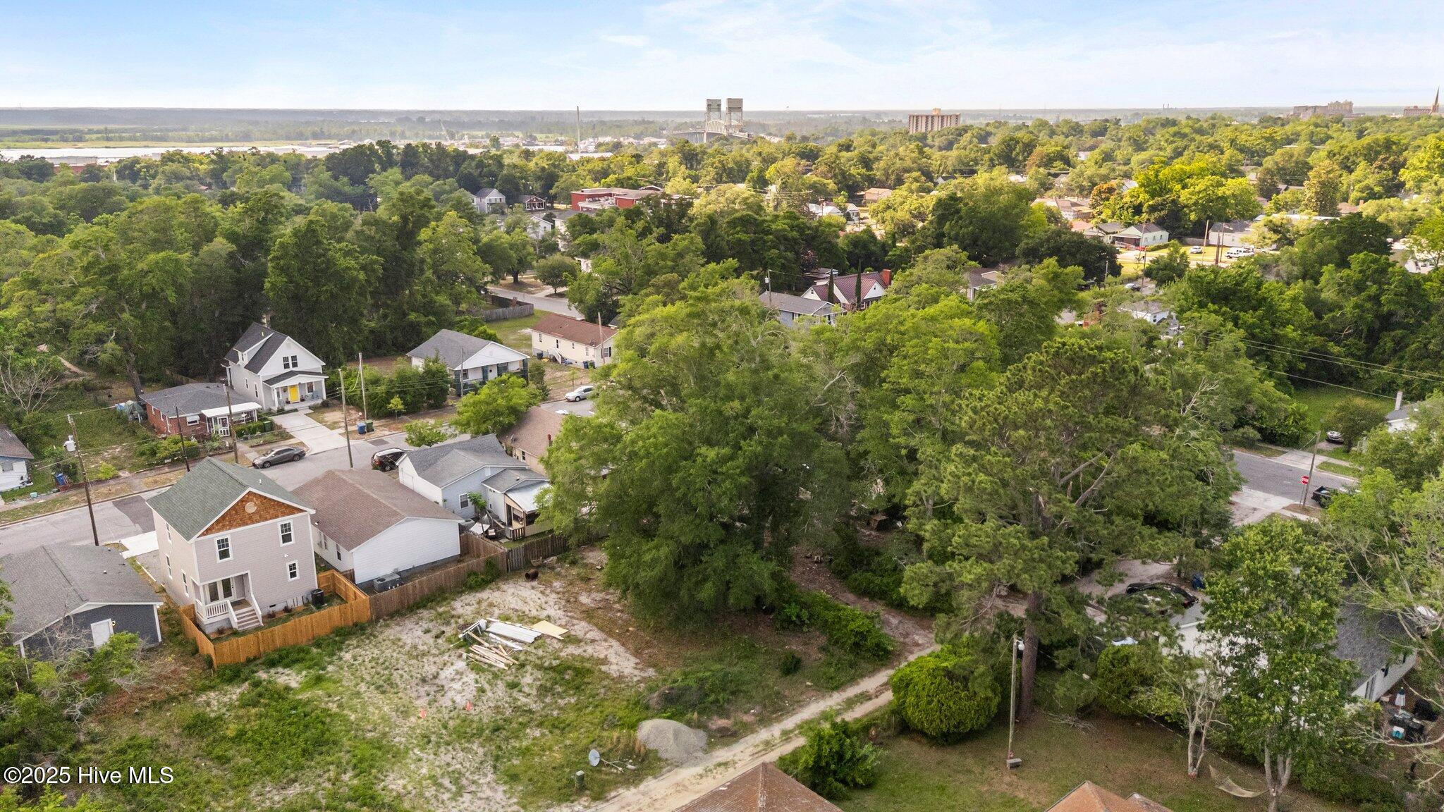 100509789 | Photo 17