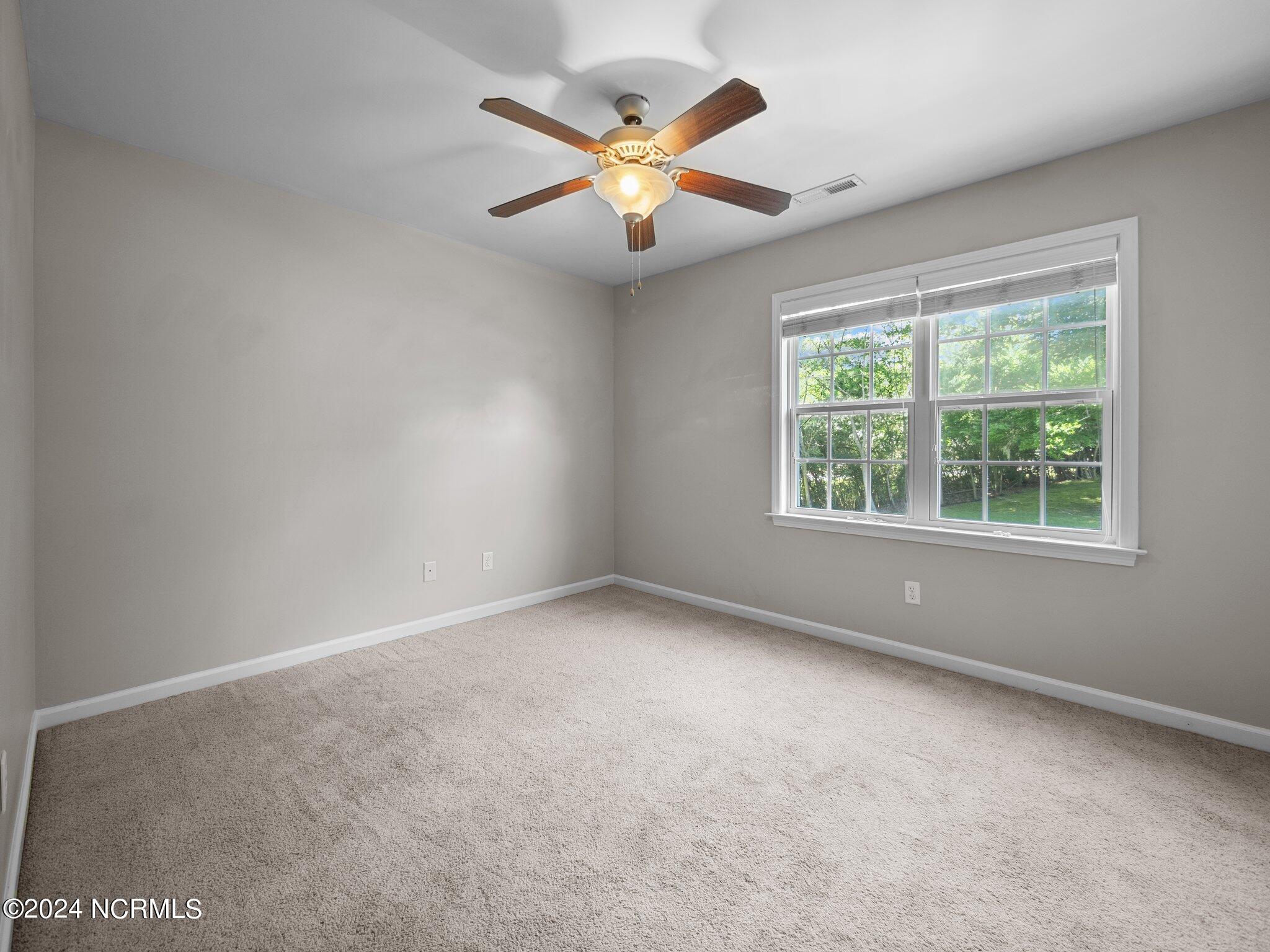 100565398 | Photo 13