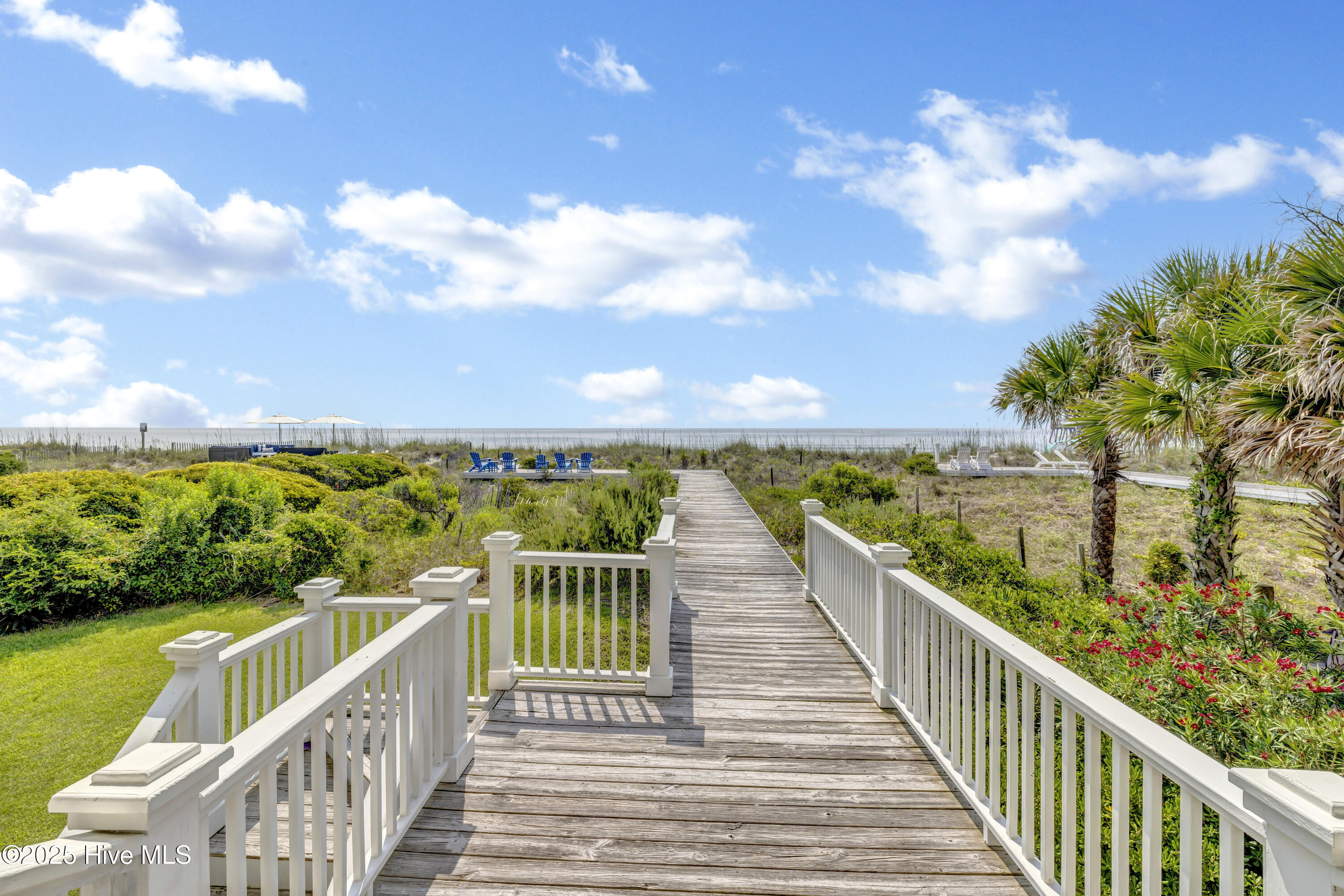 100515880 | Photo 13