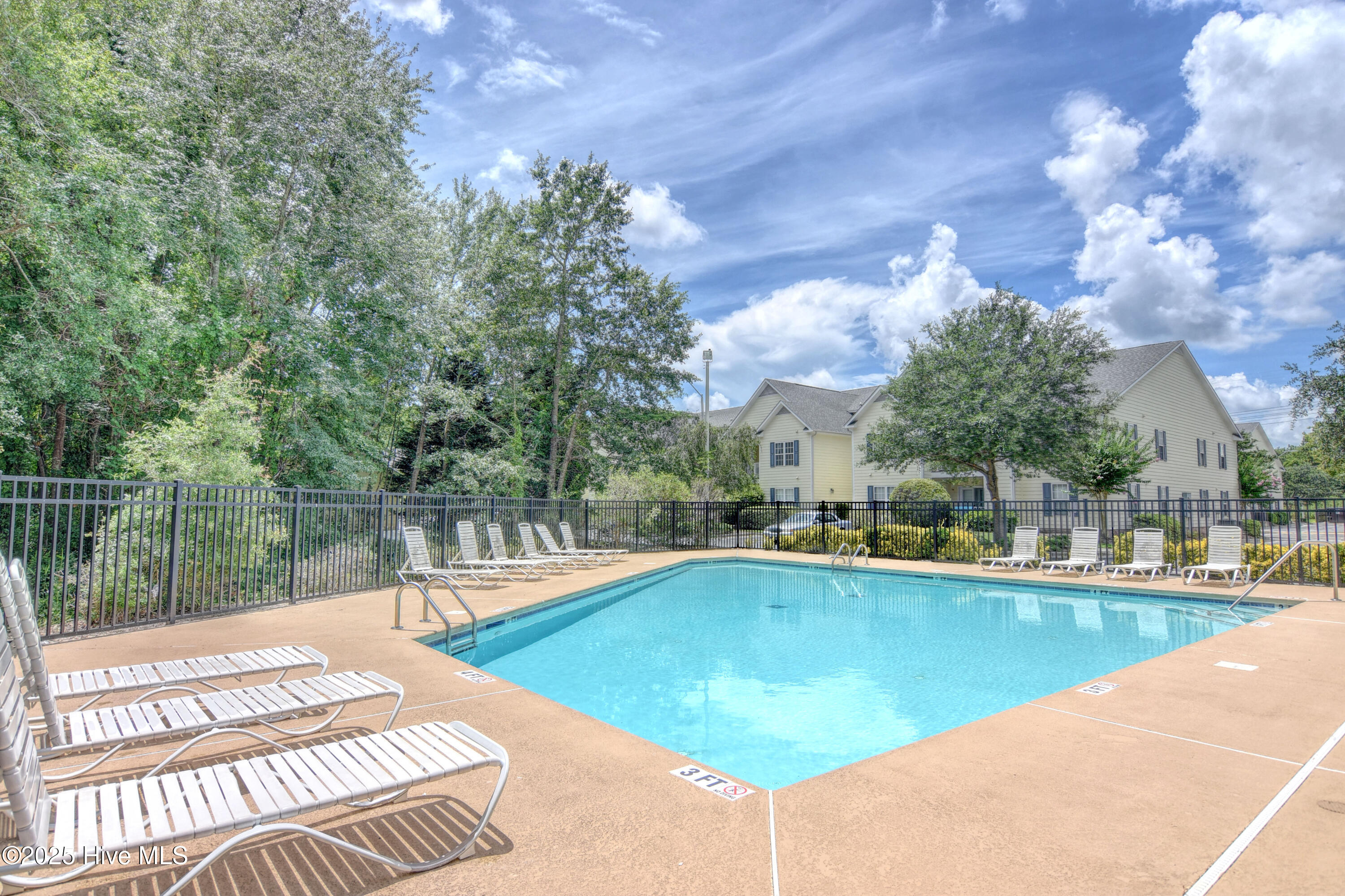 100533943 | Photo 29