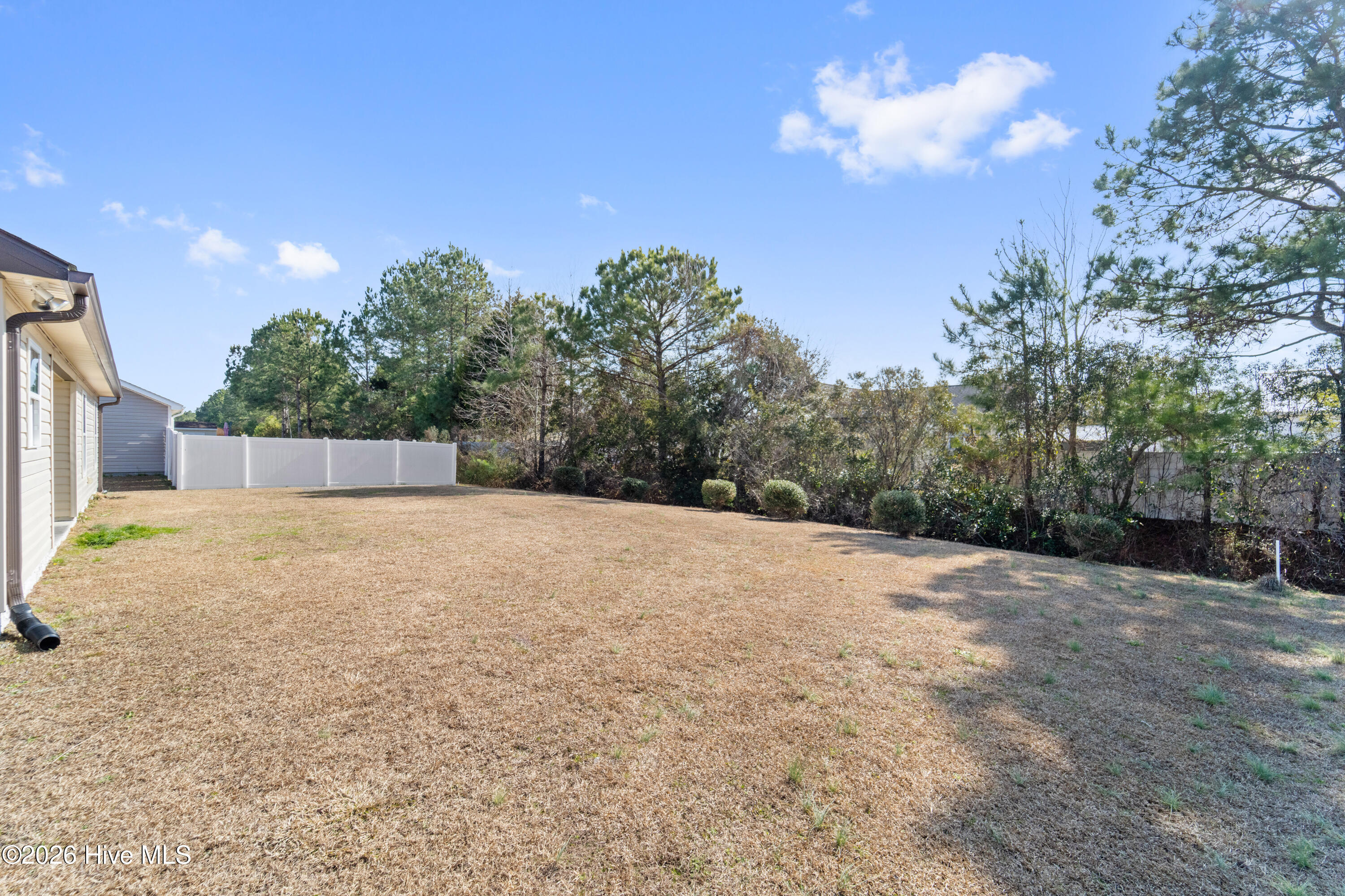 100553894 | Photo 27