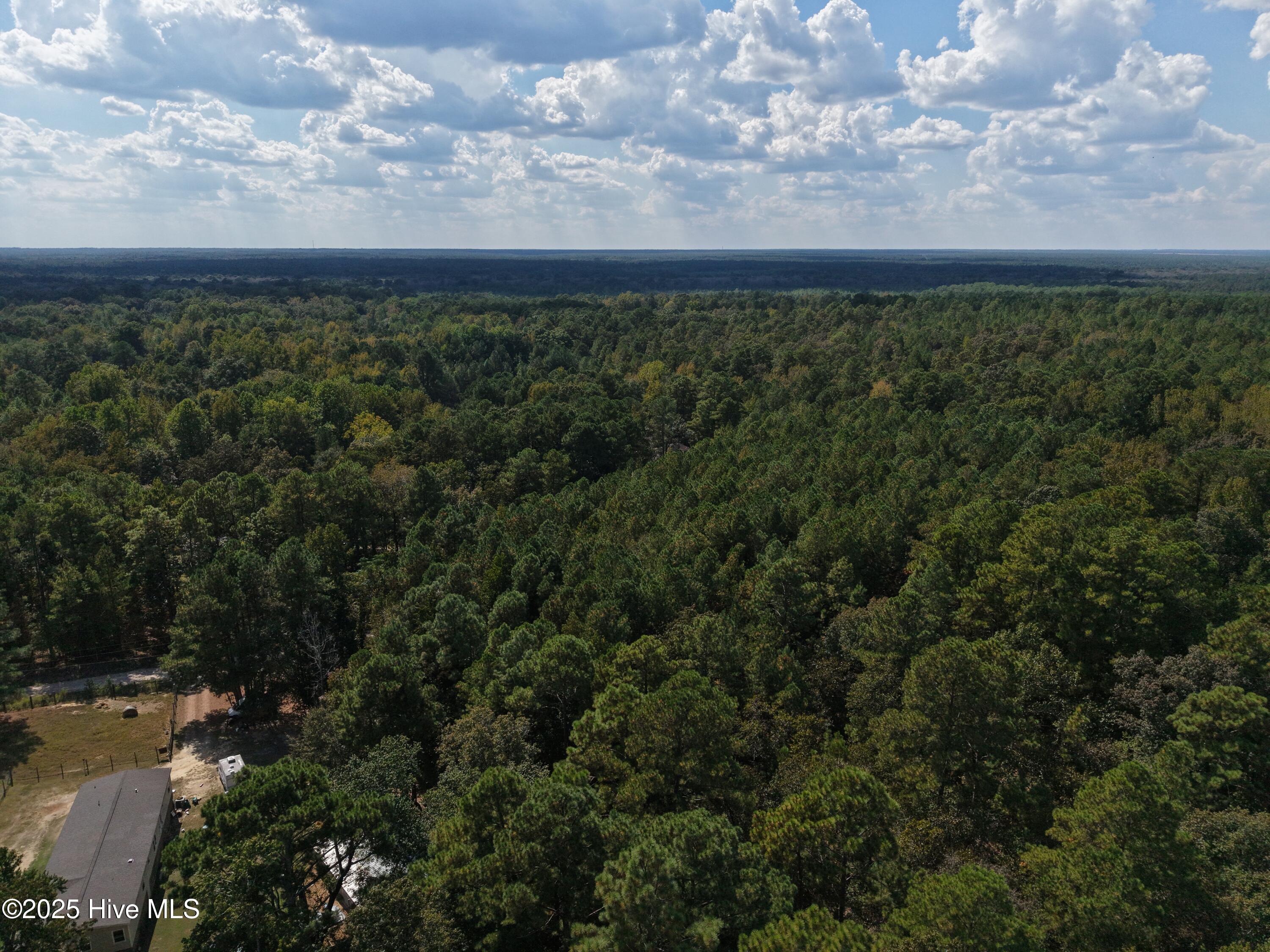 Homes for sale in Raeford, NC | Lot 39 Deer Trl, Raeford, NC 28376 | MLS# 100533398