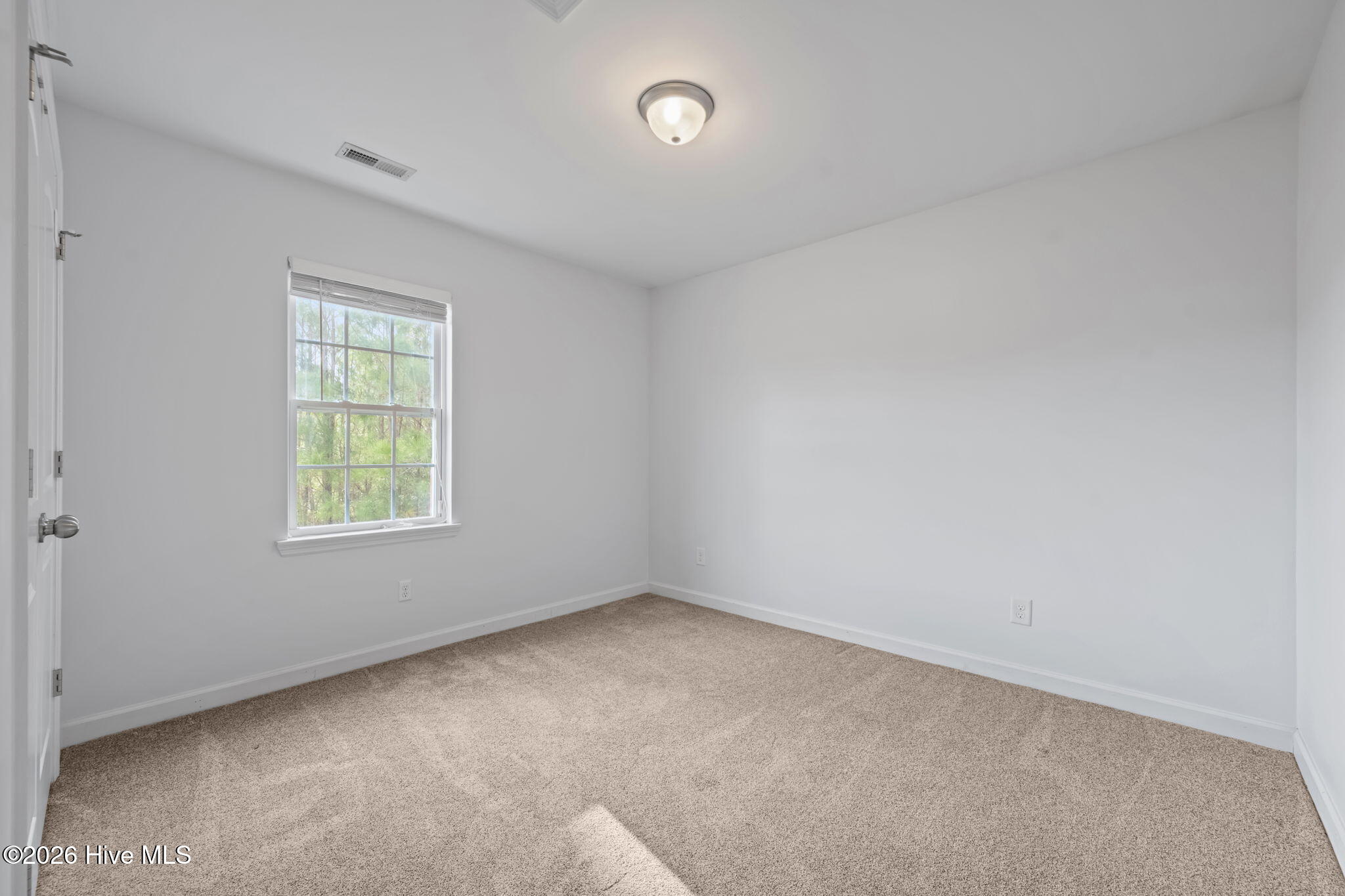 100562180 | Photo 15