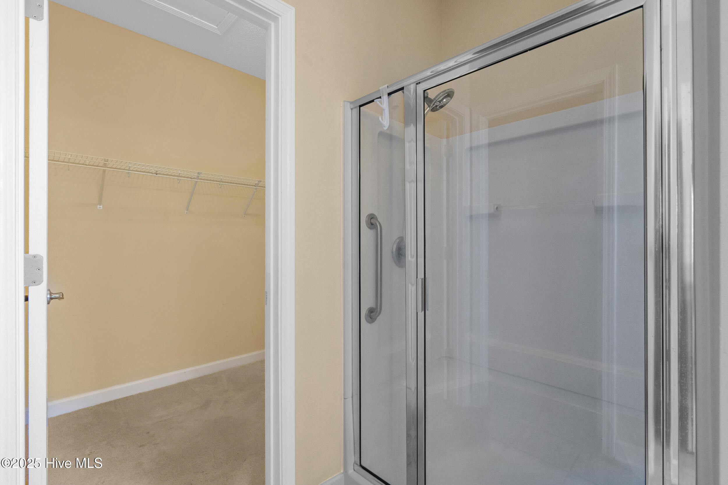 100529171 | Photo 19