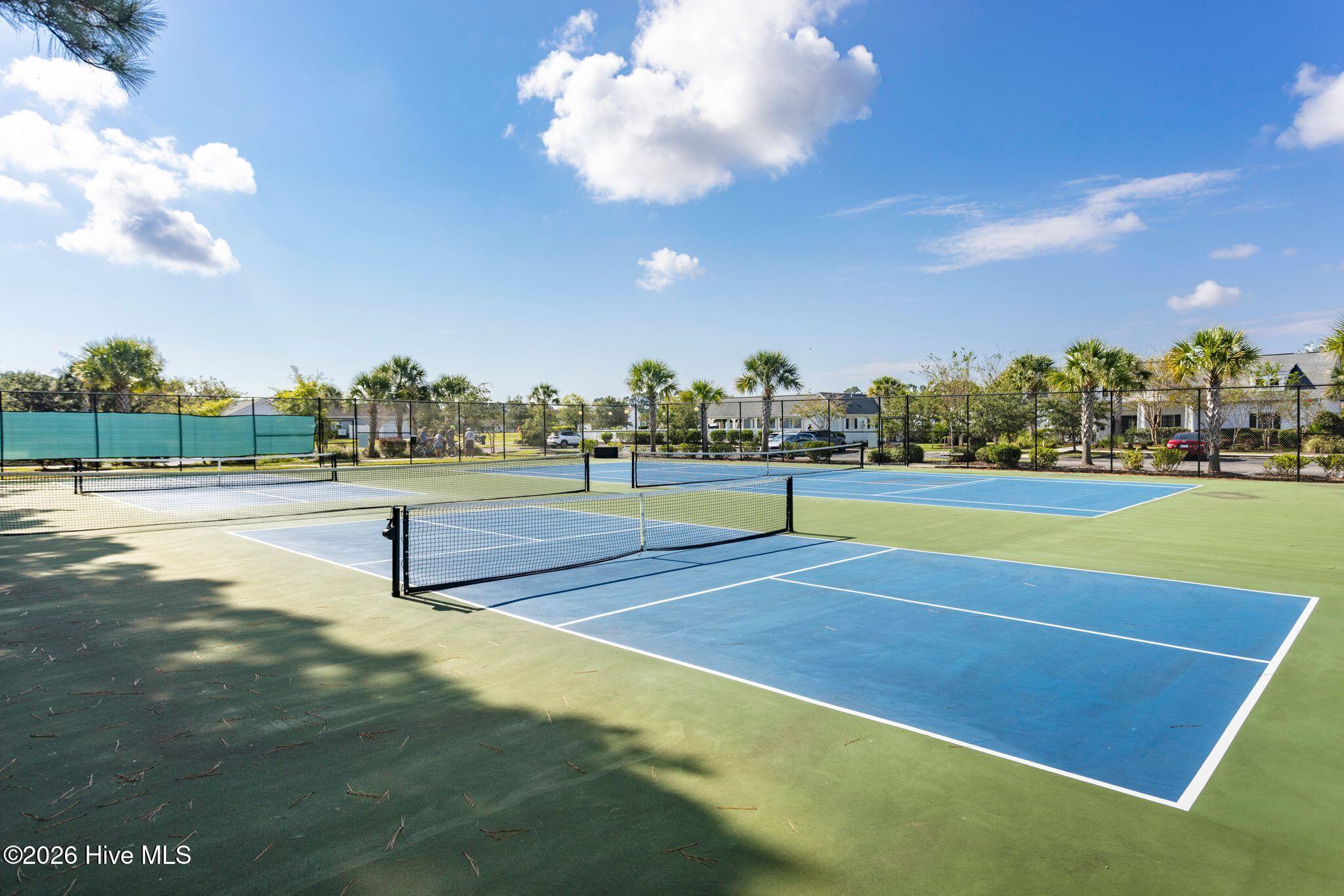 100560462 | Photo 73