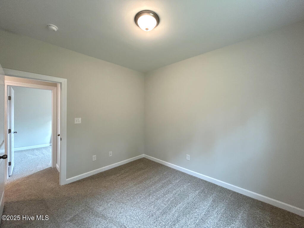 100537397 | Photo 34