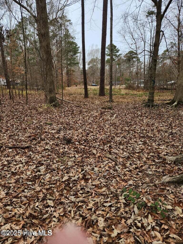 Homes for sale in Hertford, NC | 146 Tranquility Ln, Hertford, NC 27944 | MLS# 100543590