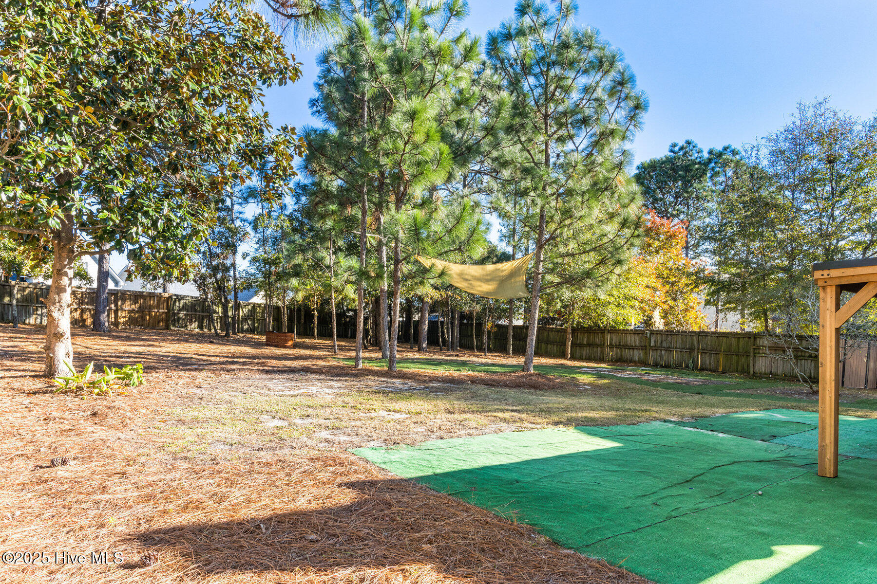 100542104 | Photo 23