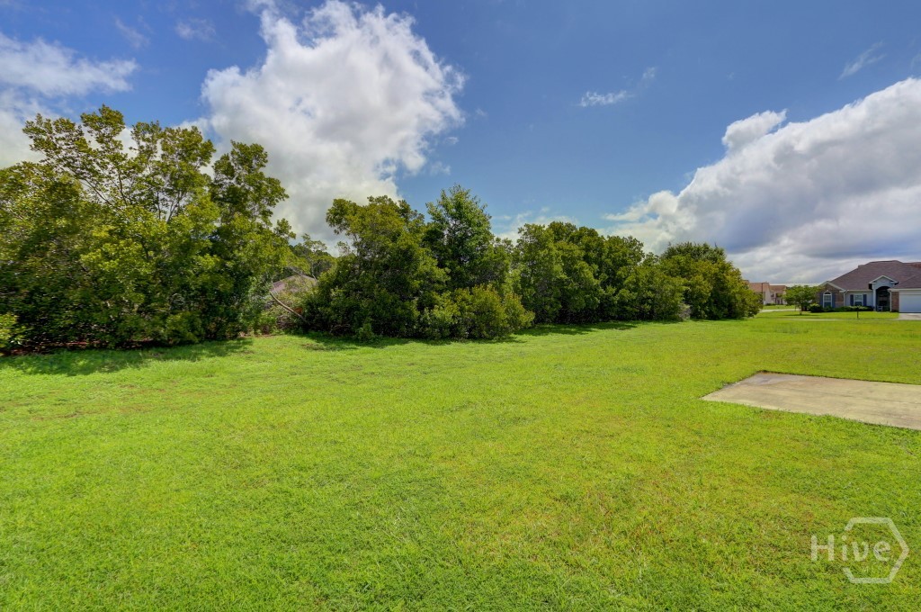 20 Evergreen Oak Drive, Richmond Hill, GA, 31324