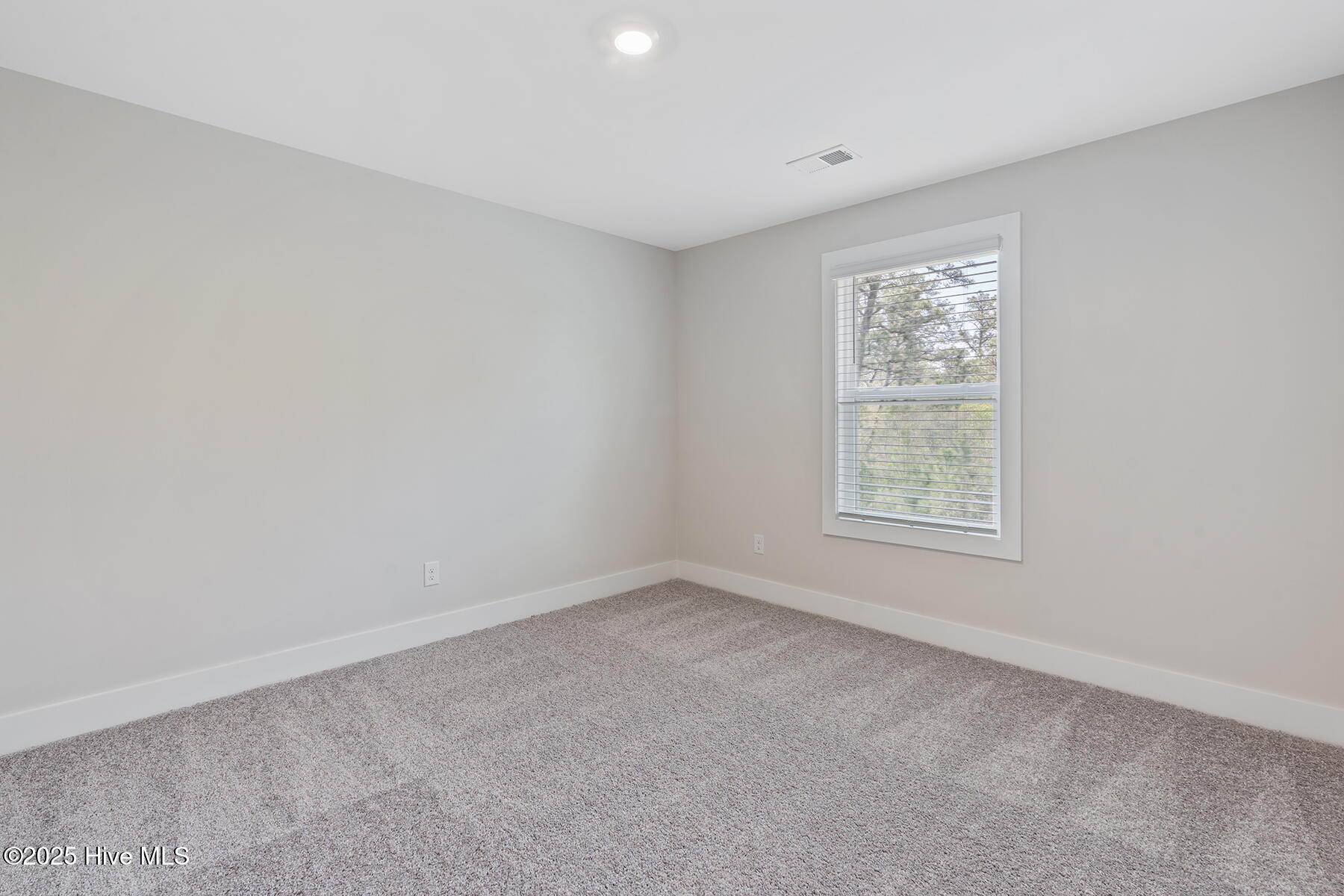 100546623 | Photo 17