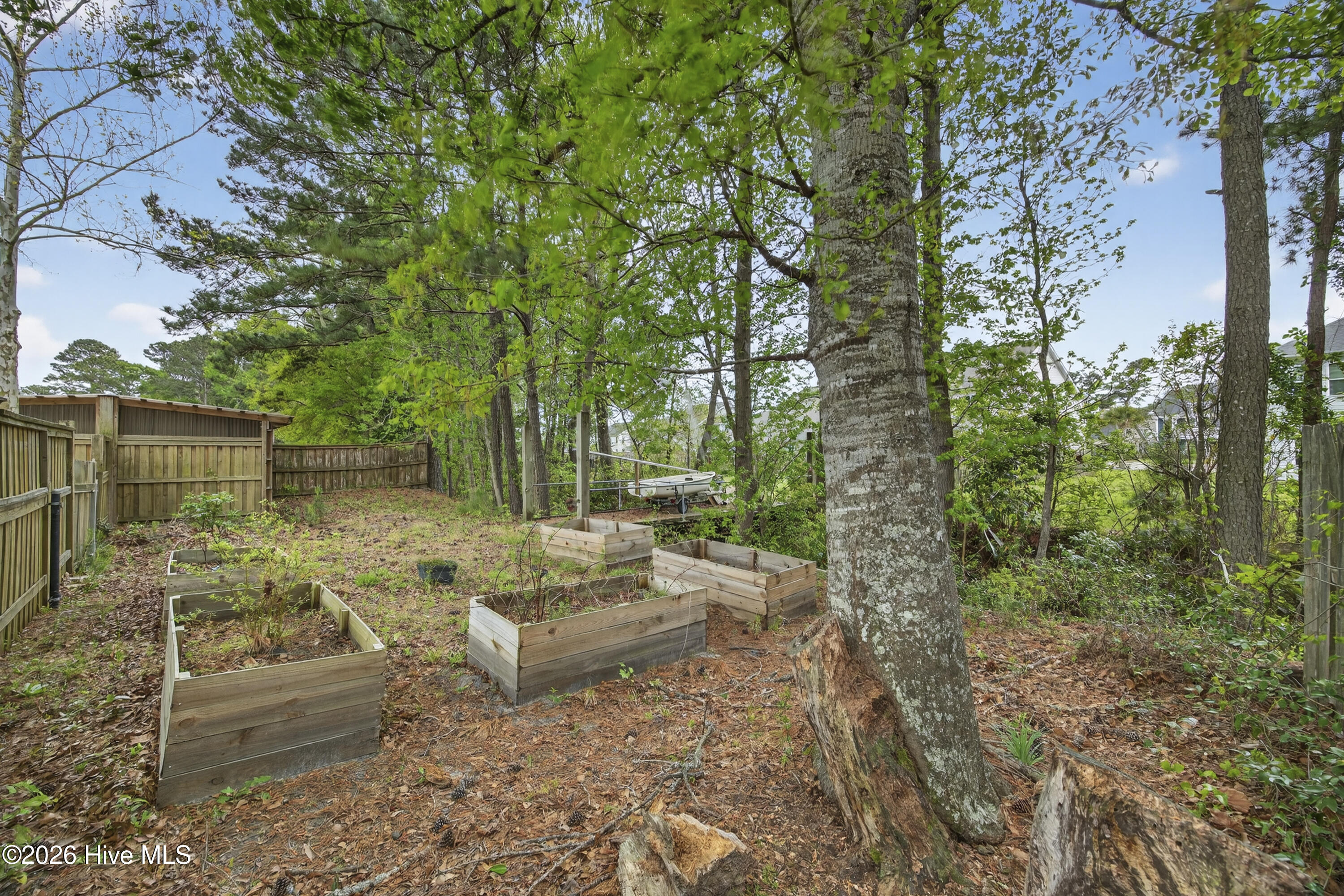 100565929 | Photo 16