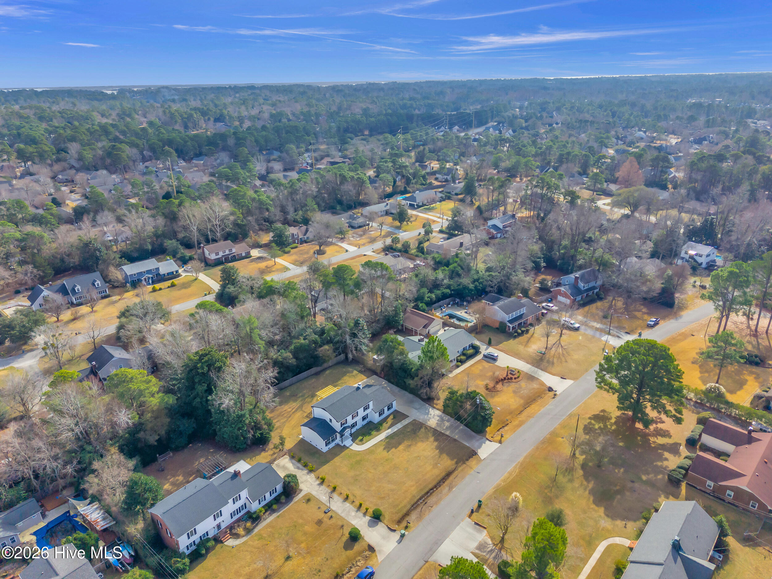 100548646 | Photo 63