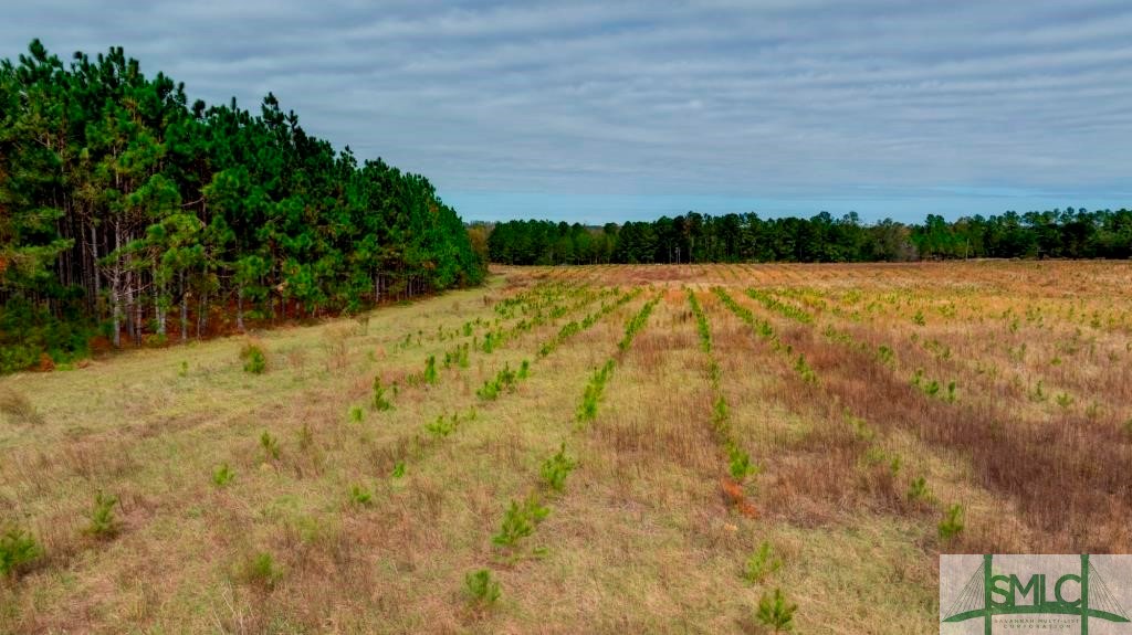 Undisclosed Address, Sylvania, GA, 30467