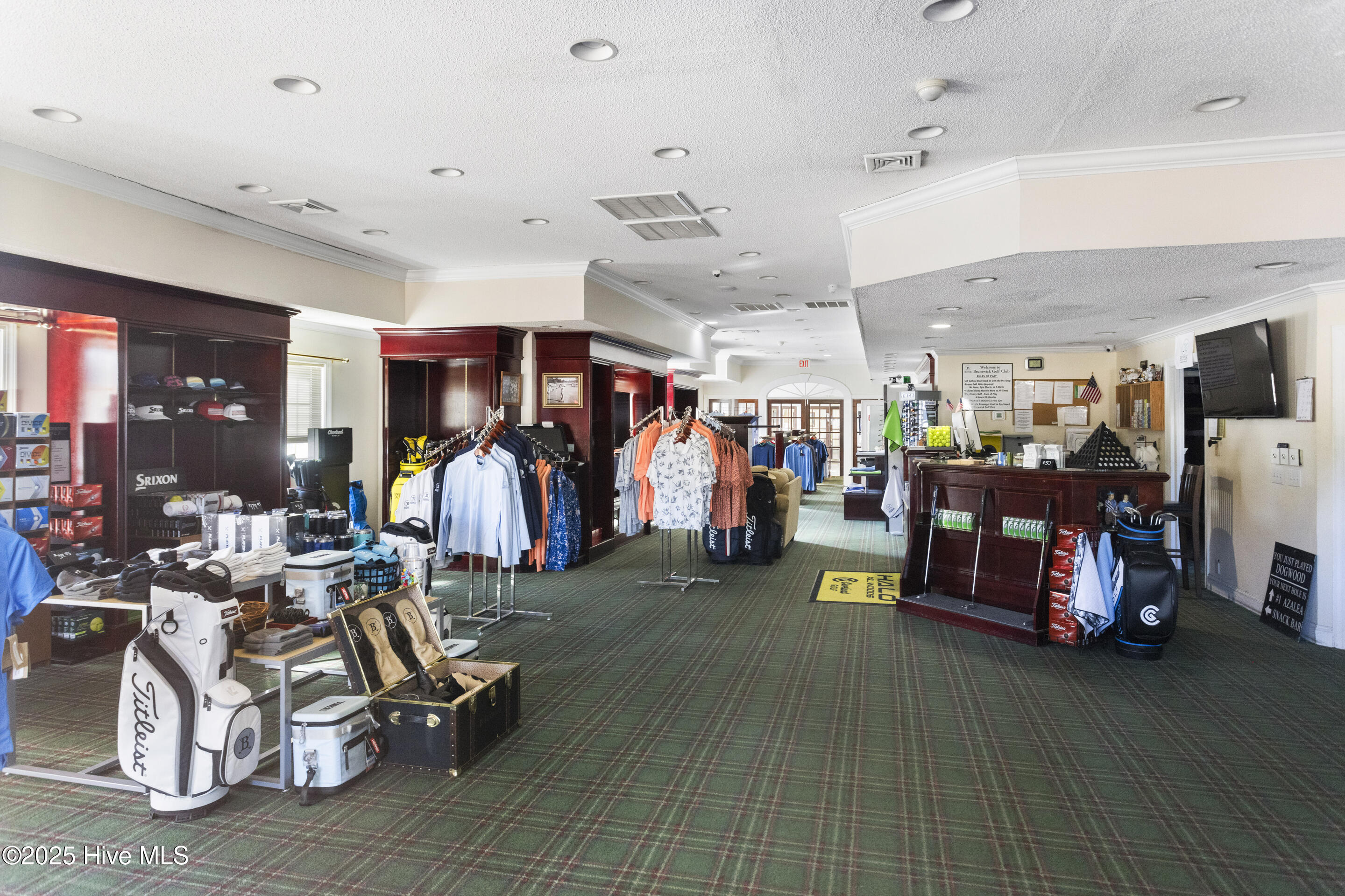 100546998 | Photo 67