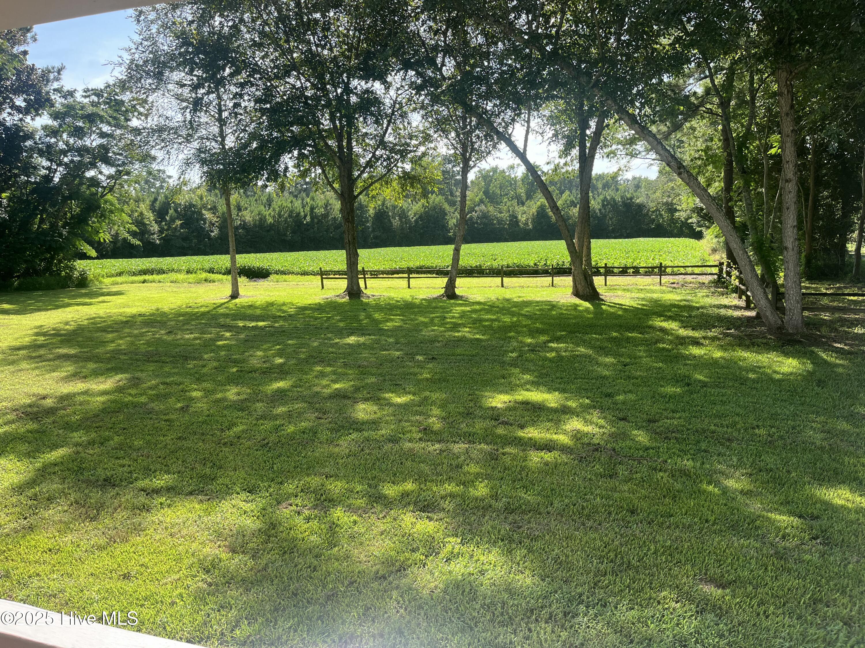 100539839 | Photo 42