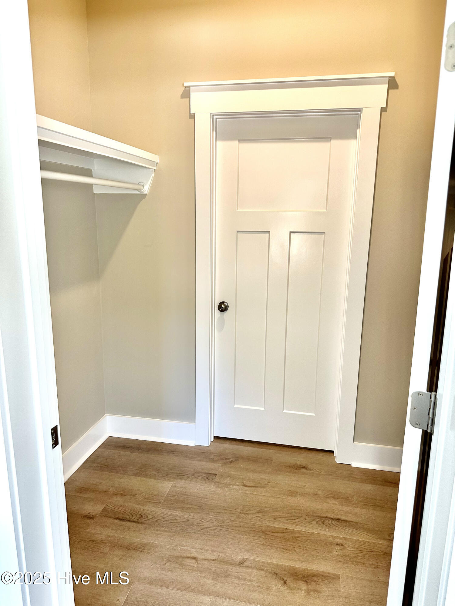 100537365 | Photo 50