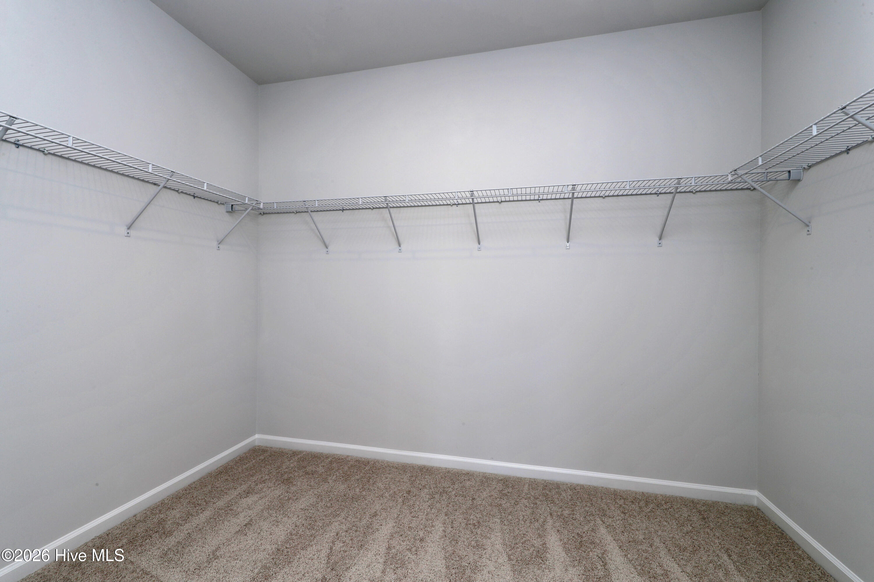 100520323 | Photo 26