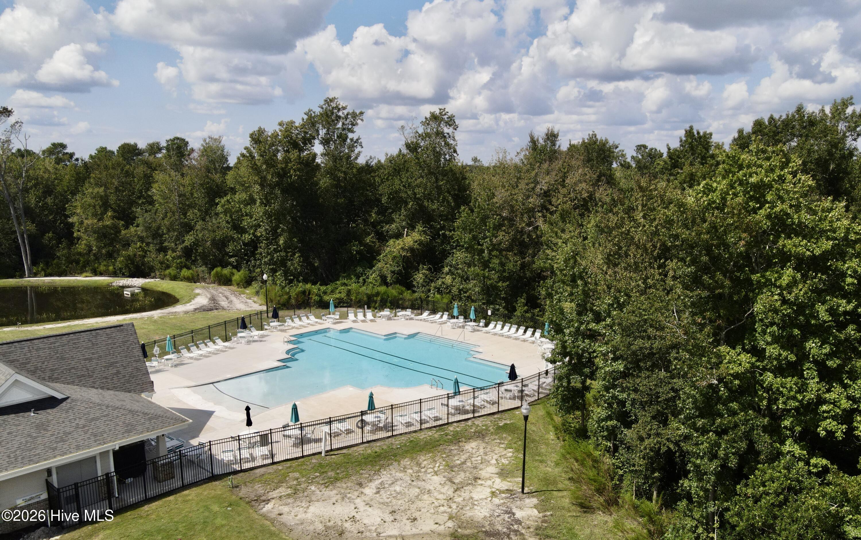 100553723 | Photo 48