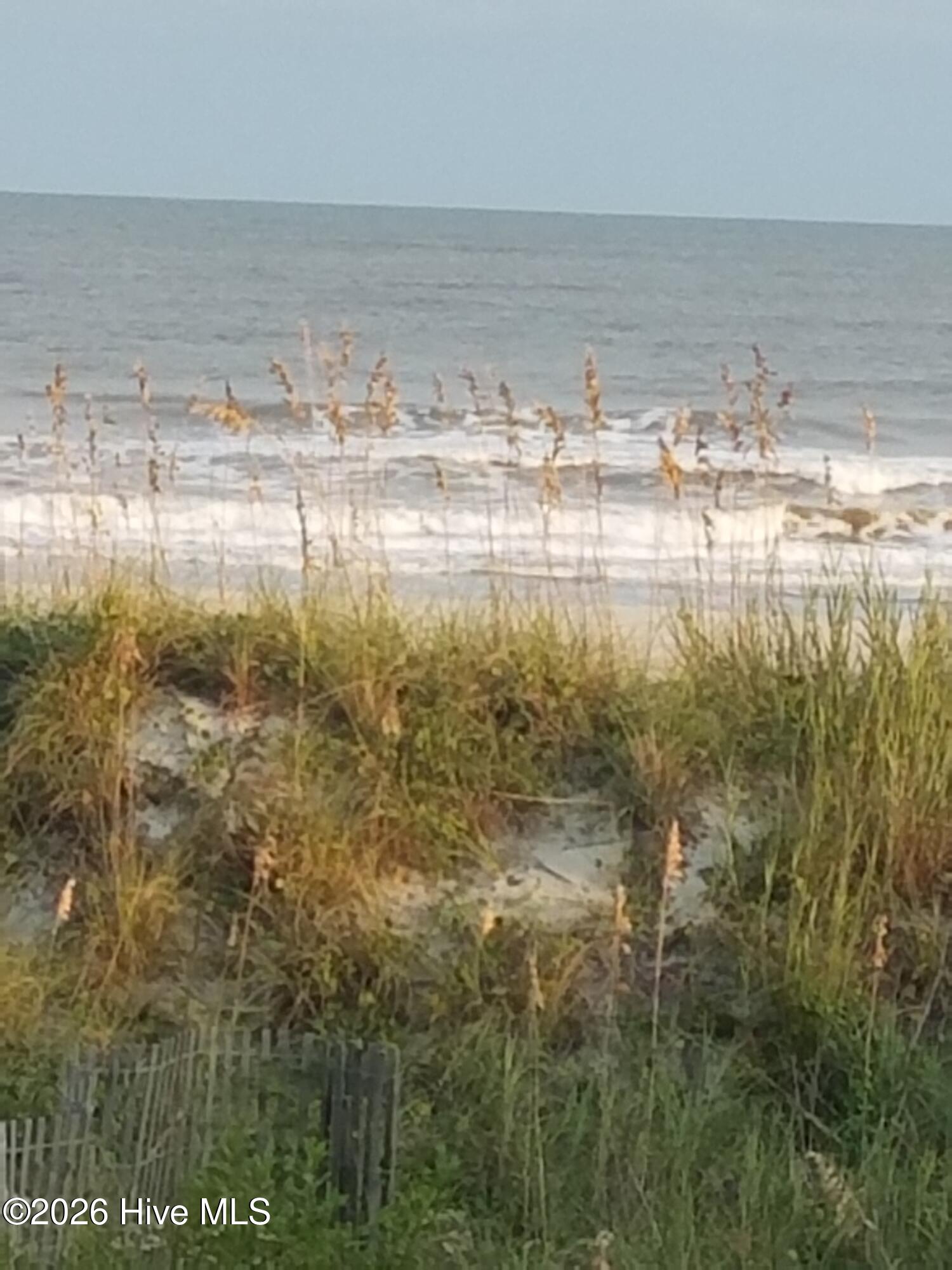 100551373 | Photo 16