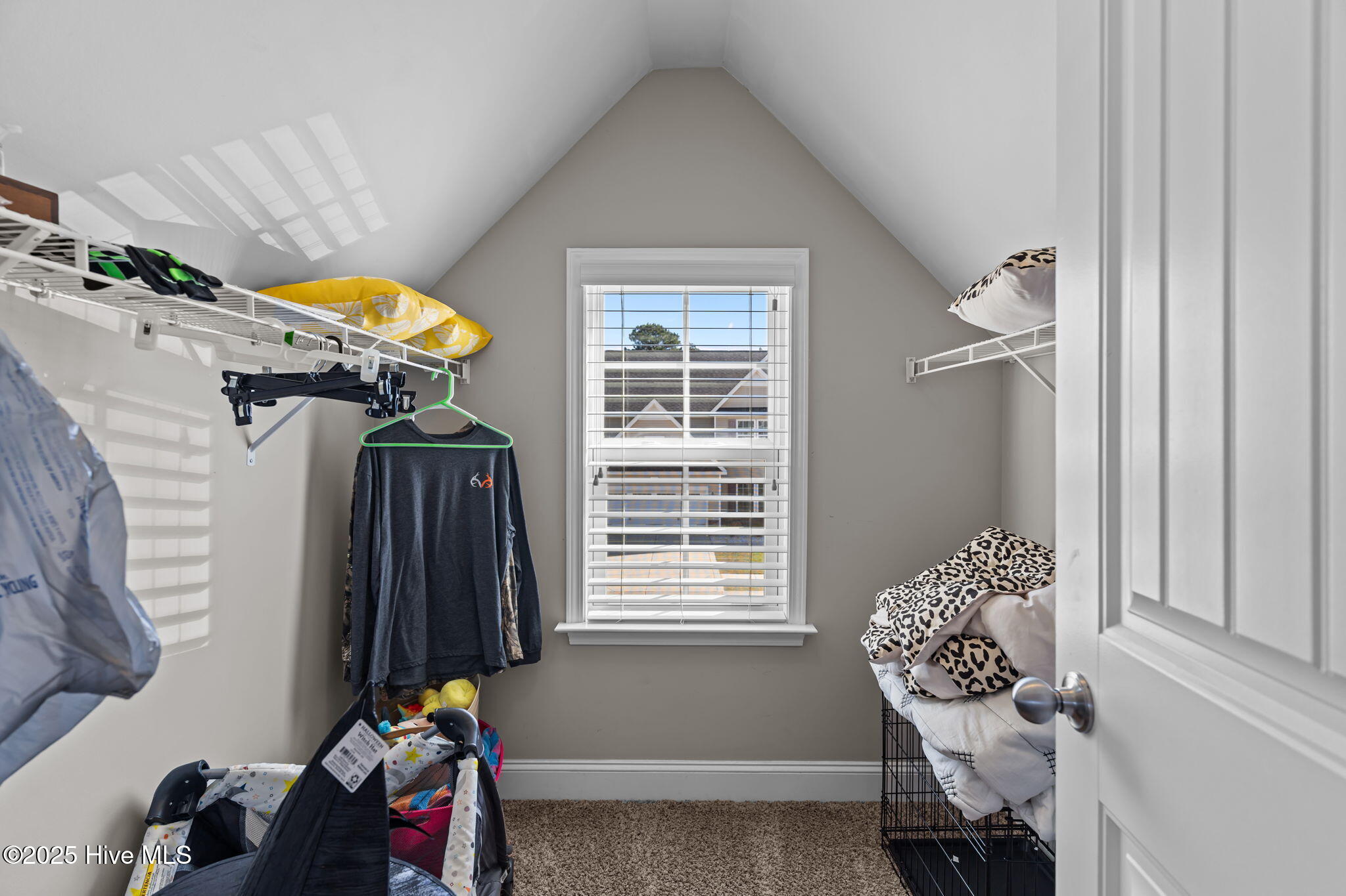 100537762 | Photo 21