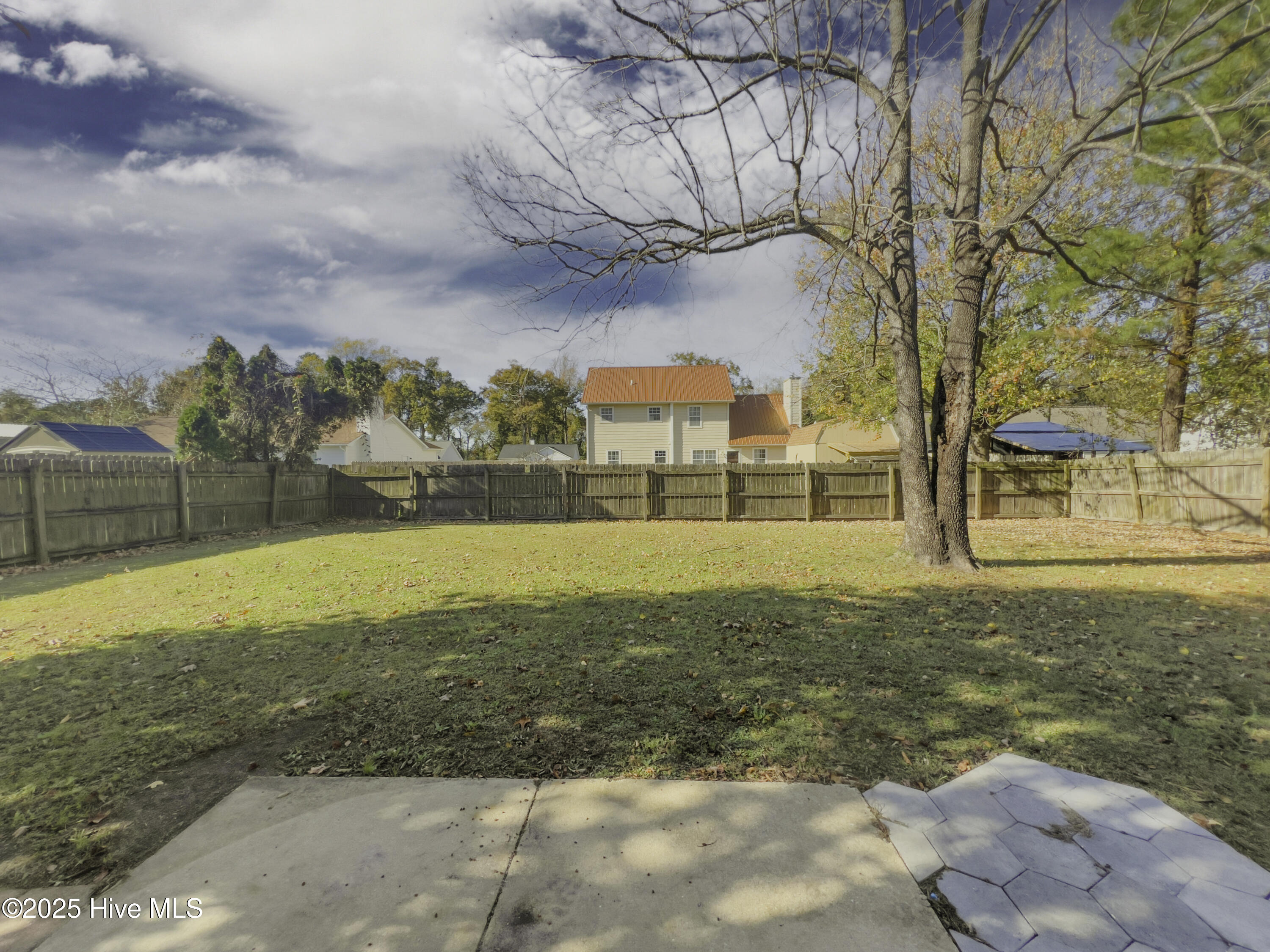 100536180 | Photo 31