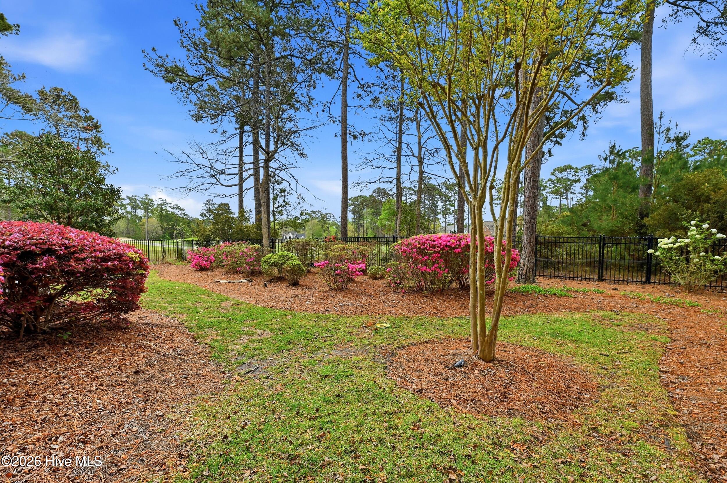 100566380 | Photo 51