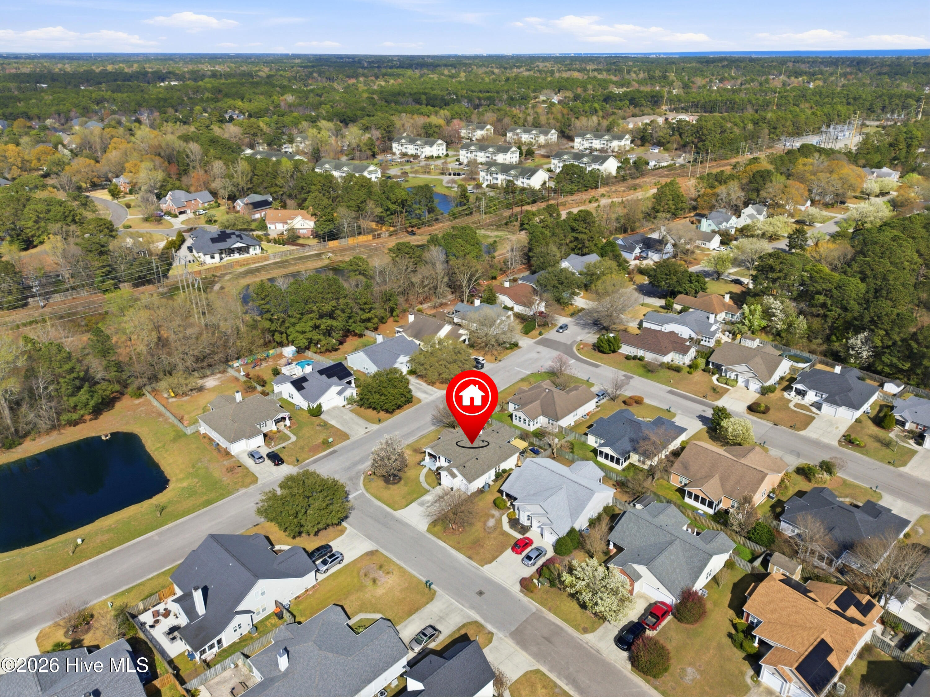 100560497 | Photo 46