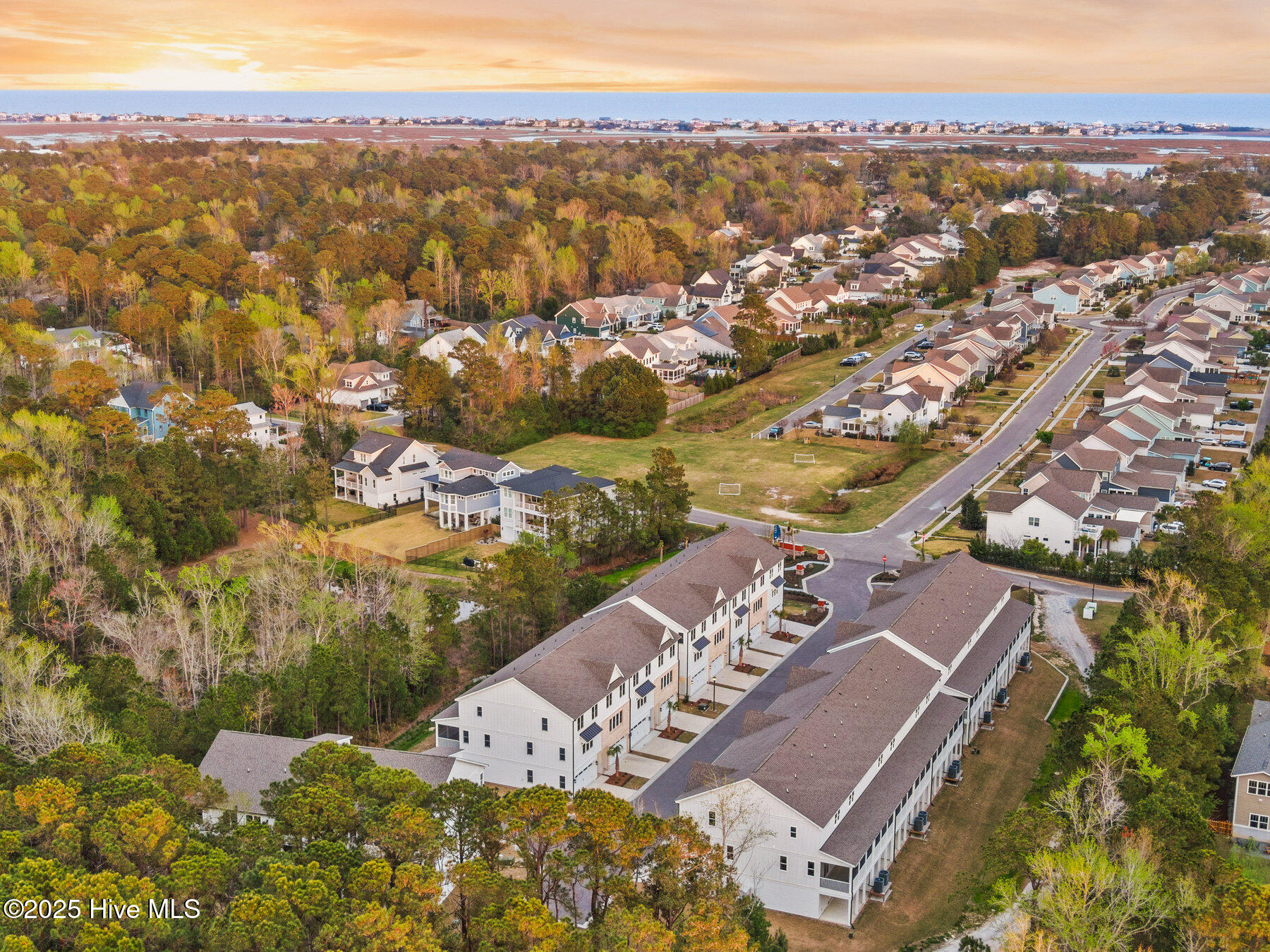 100534018 | Photo 13