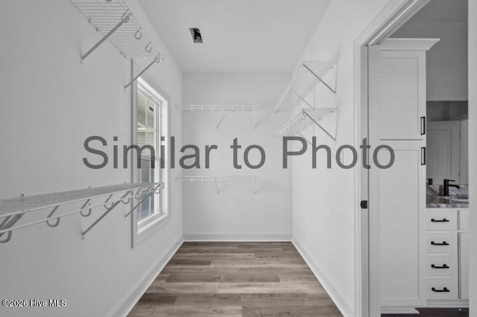 100555124 | Photo 14