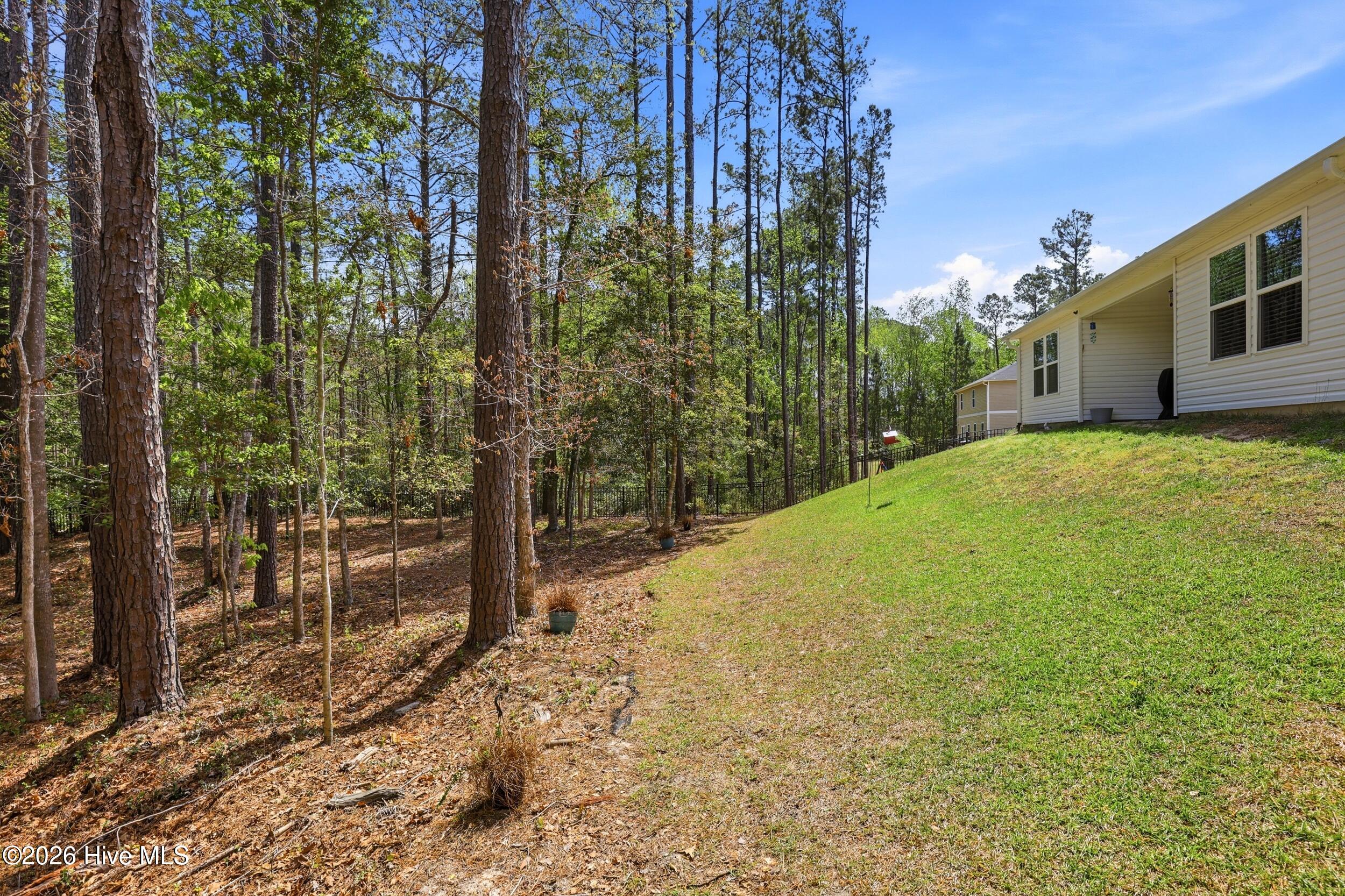 100565948 | Photo 39