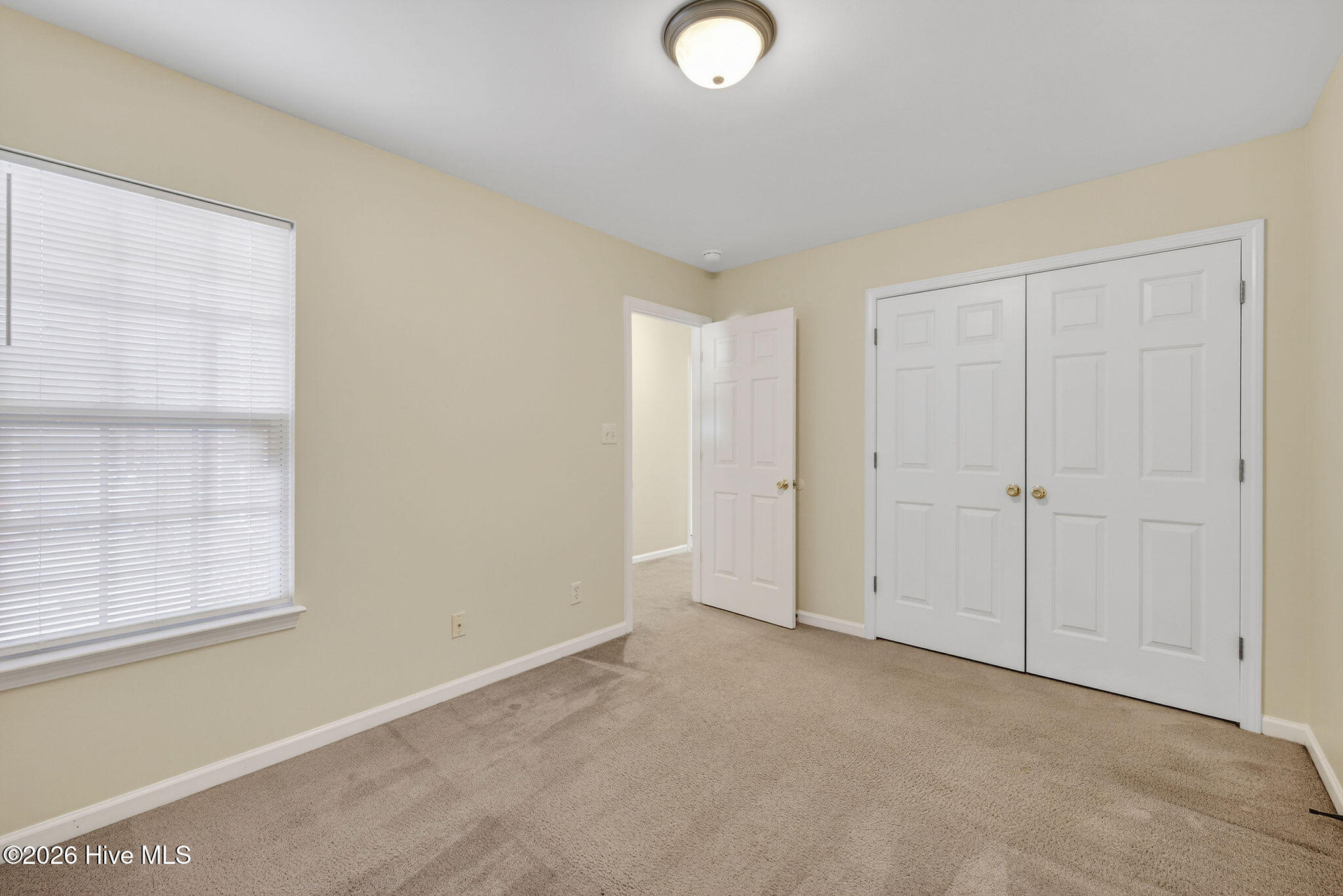 100556599 | Photo 12