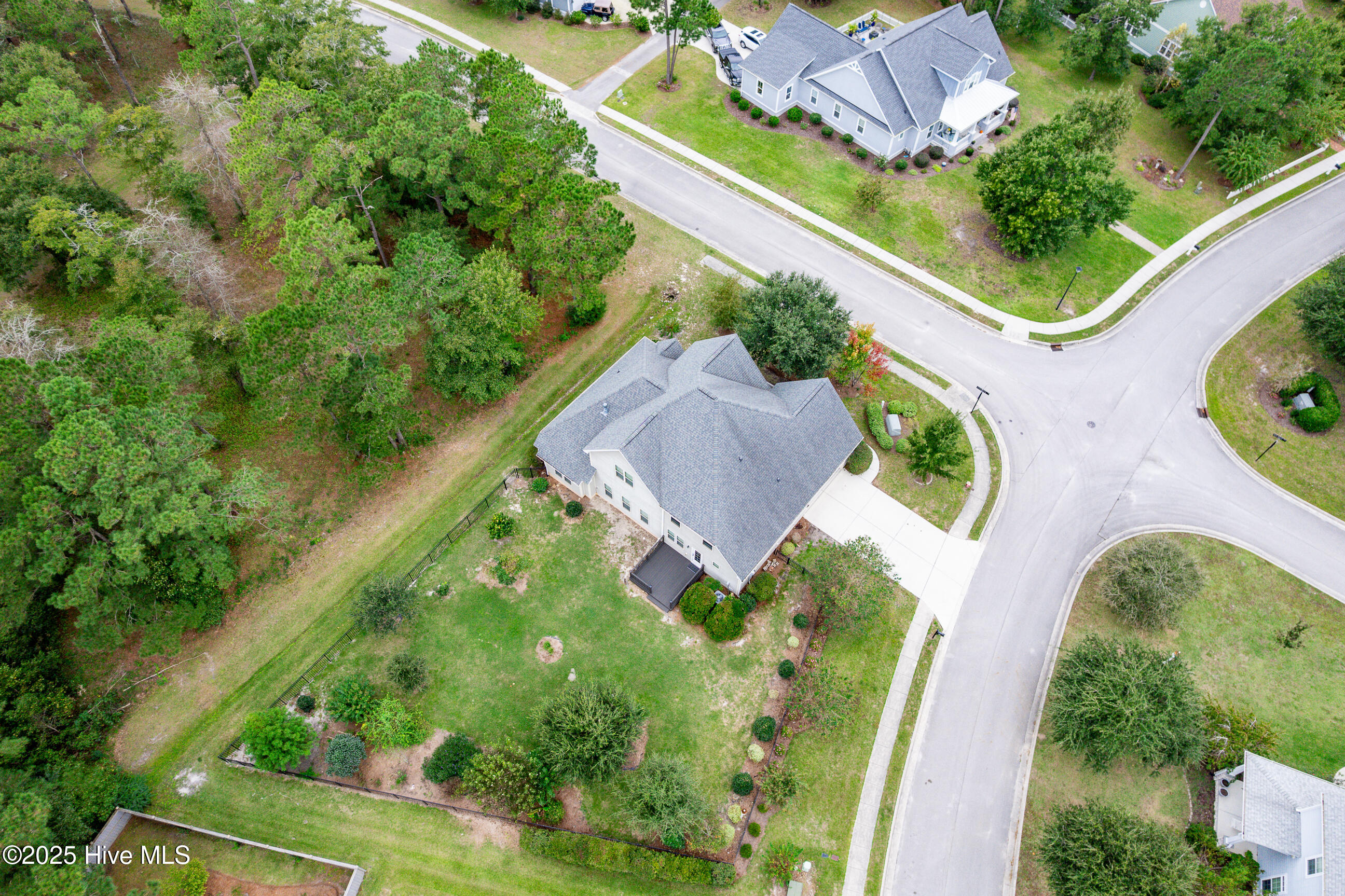 100534677 | Photo 62