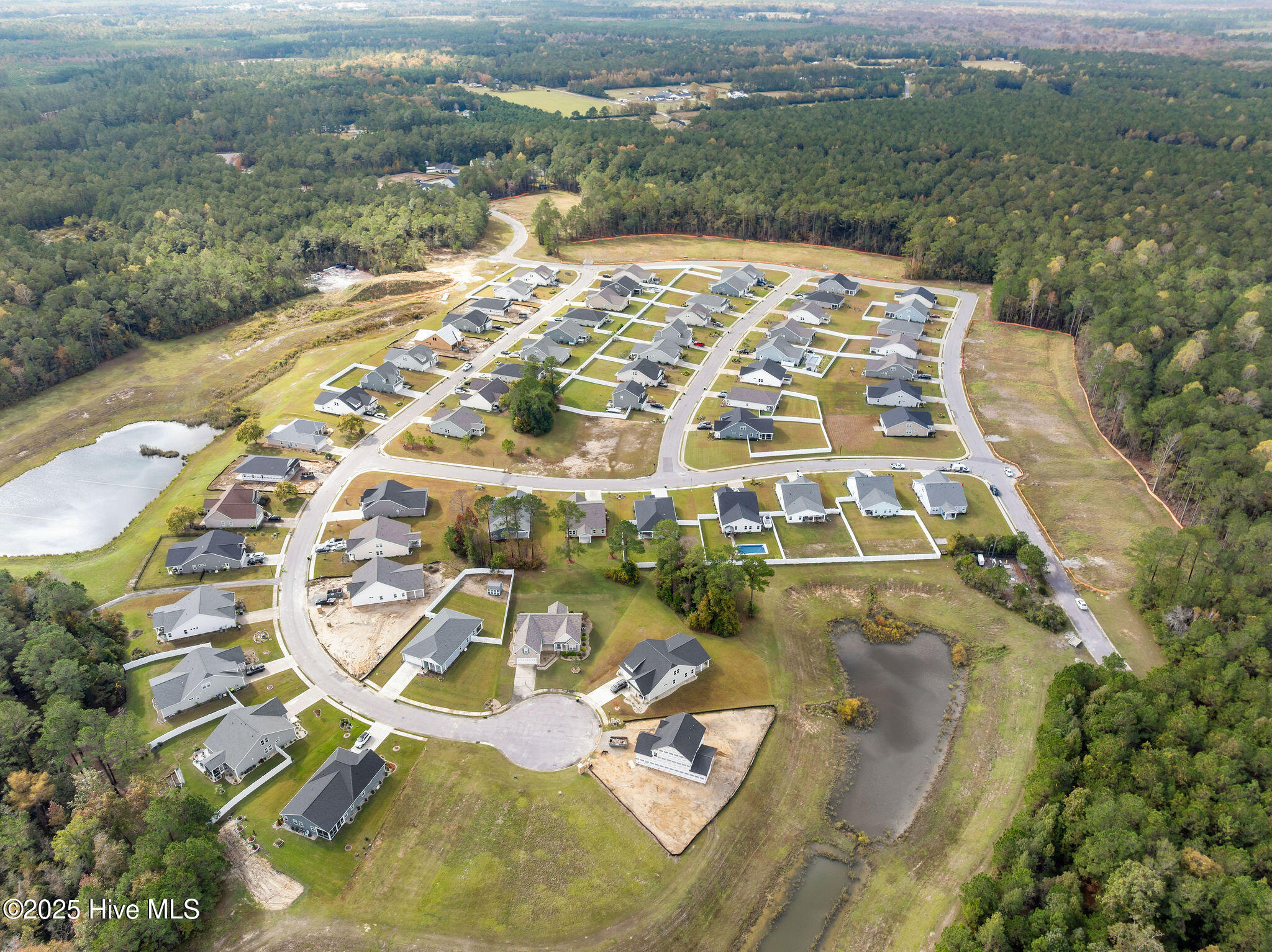 100542569 | Photo 46