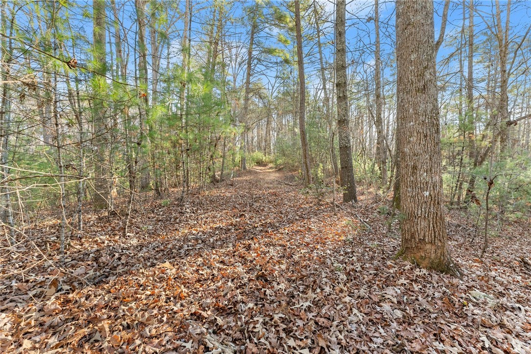 Shoal Creek Tract Habersham County