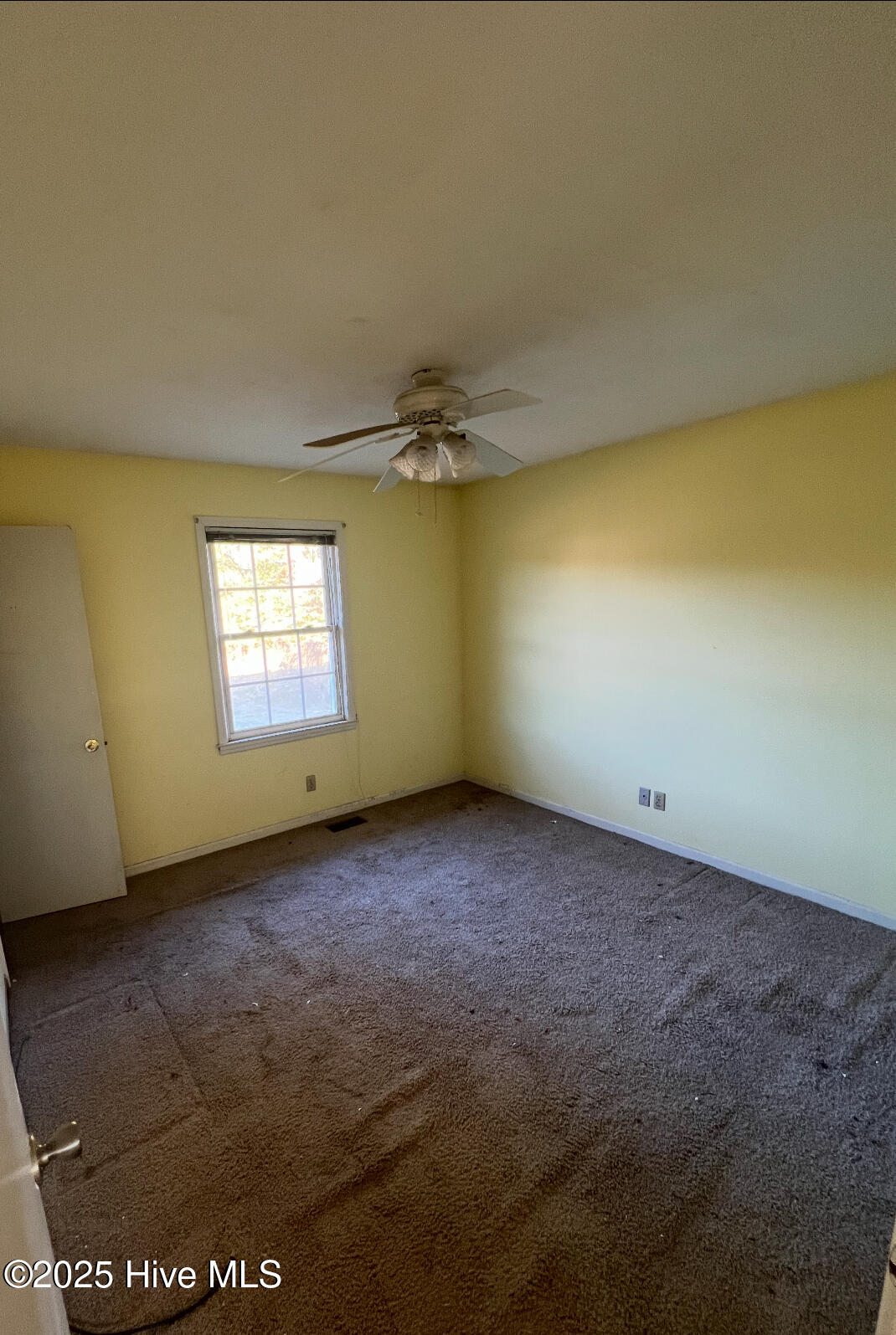 100545246 | Photo 16