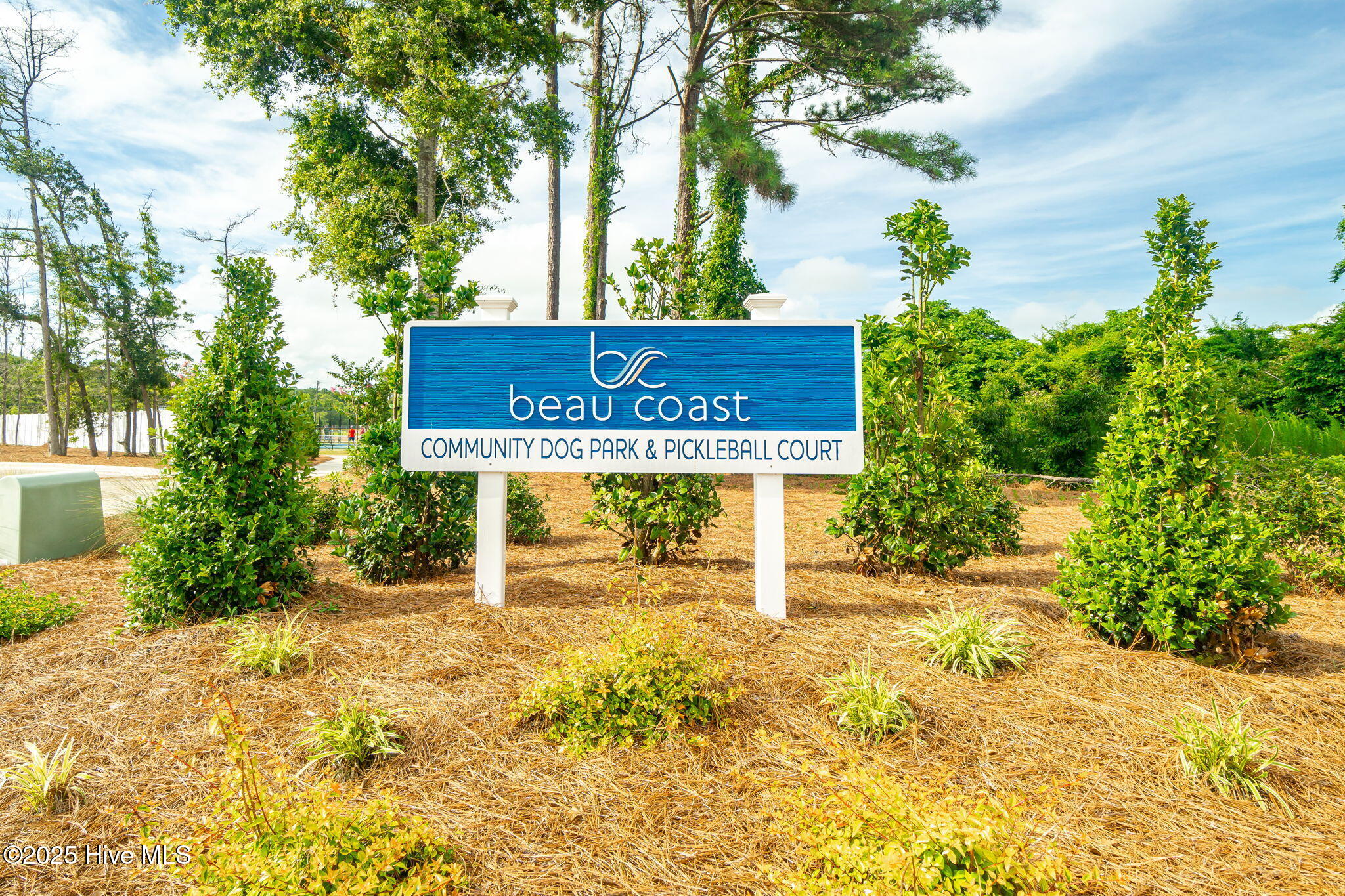 420 Summer Duck Drive,Beaufort