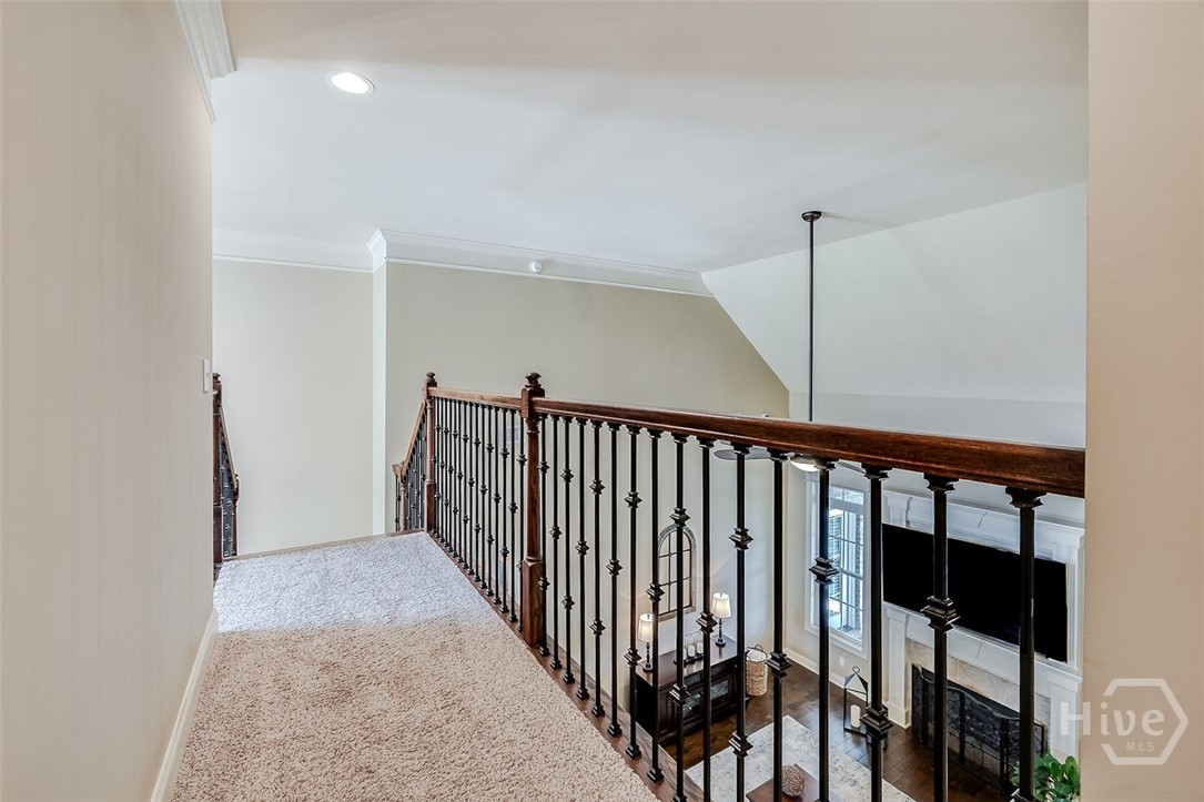 Upstairs cat walk